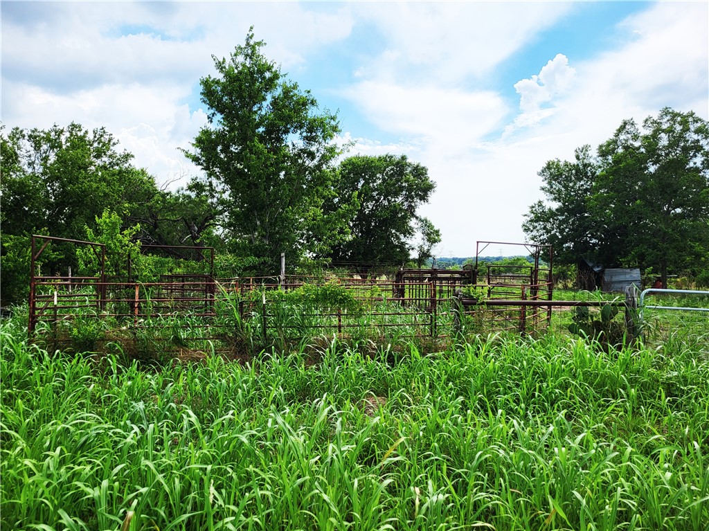 46 Acres Fm 339 S Groesbeck TX 76642