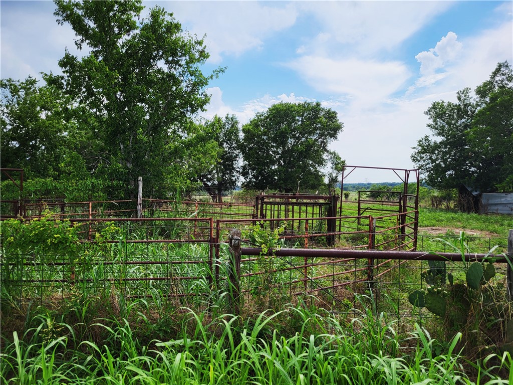 46 Acres Fm 339 S Groesbeck TX 76642