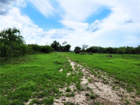 46 Acres Fm 339 S Groesbeck TX 76642