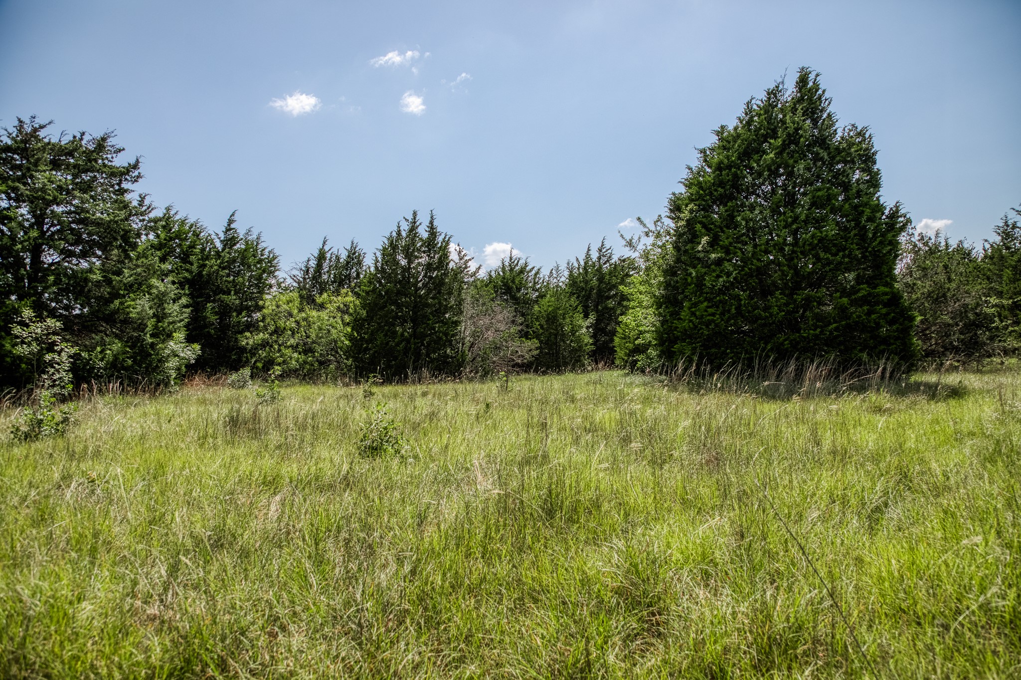 18201 N Interstate 35 West TX 76691