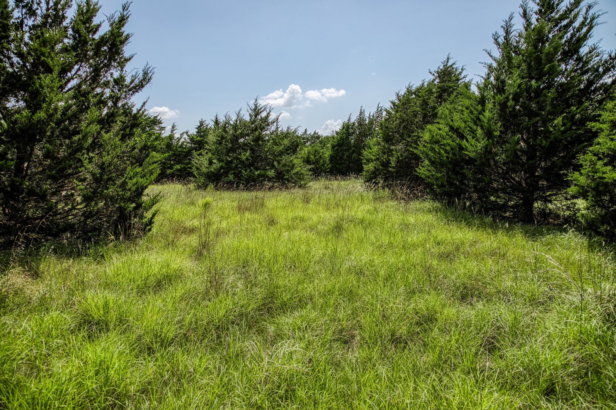 18201 N Interstate 35 West TX 76691