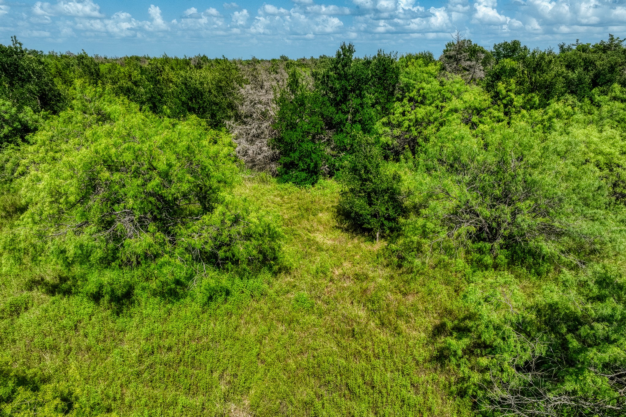 18201 N Interstate 35 West TX 76691