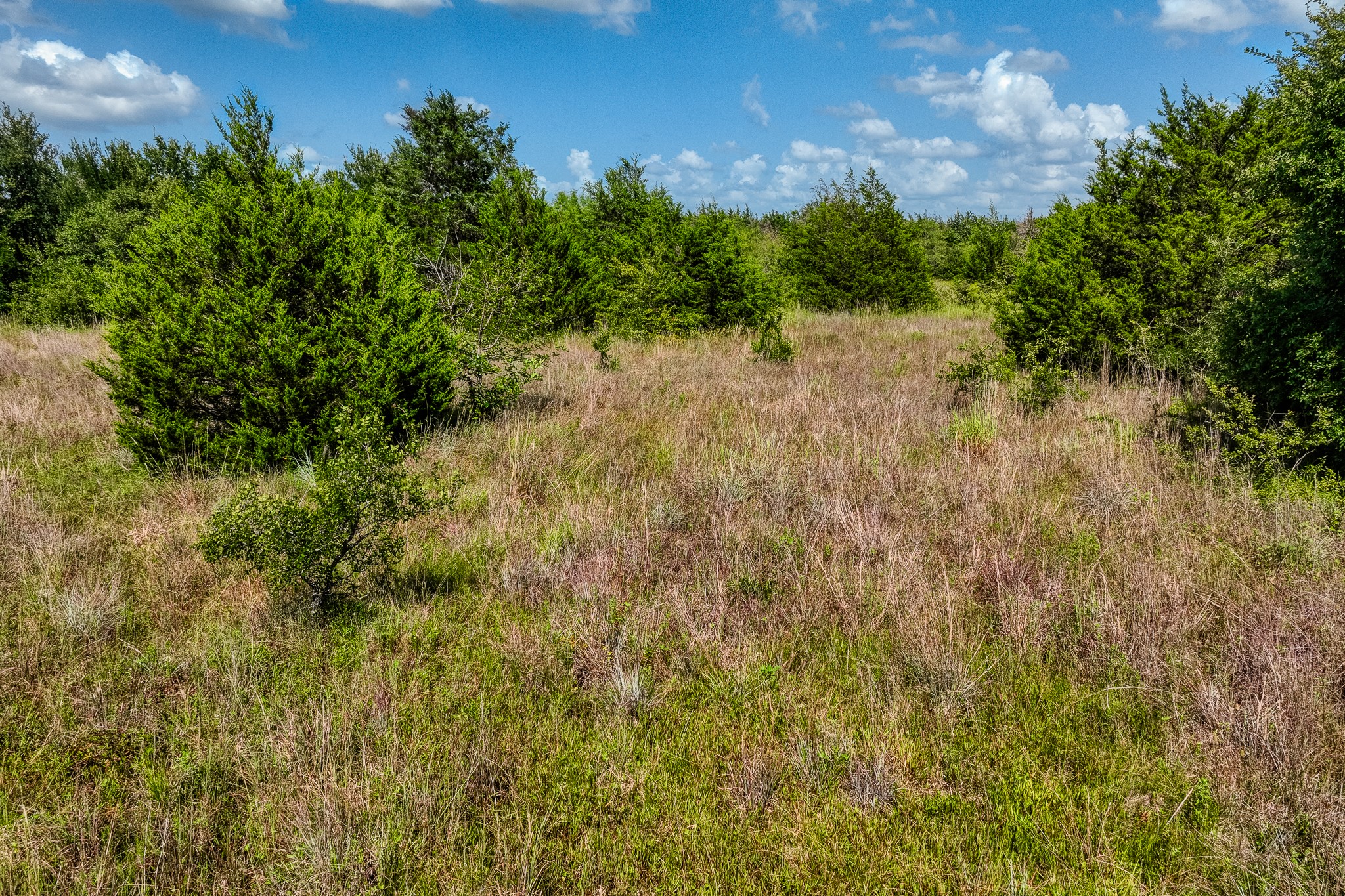18201 N Interstate 35 West TX 76691