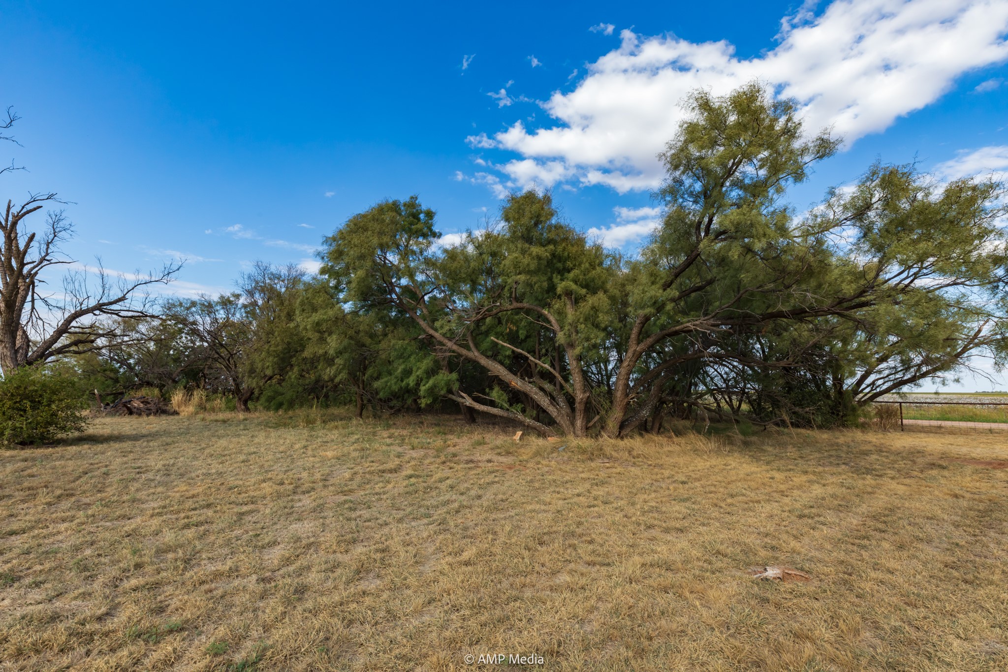 15157 County Road 453 Merkel TX 79536