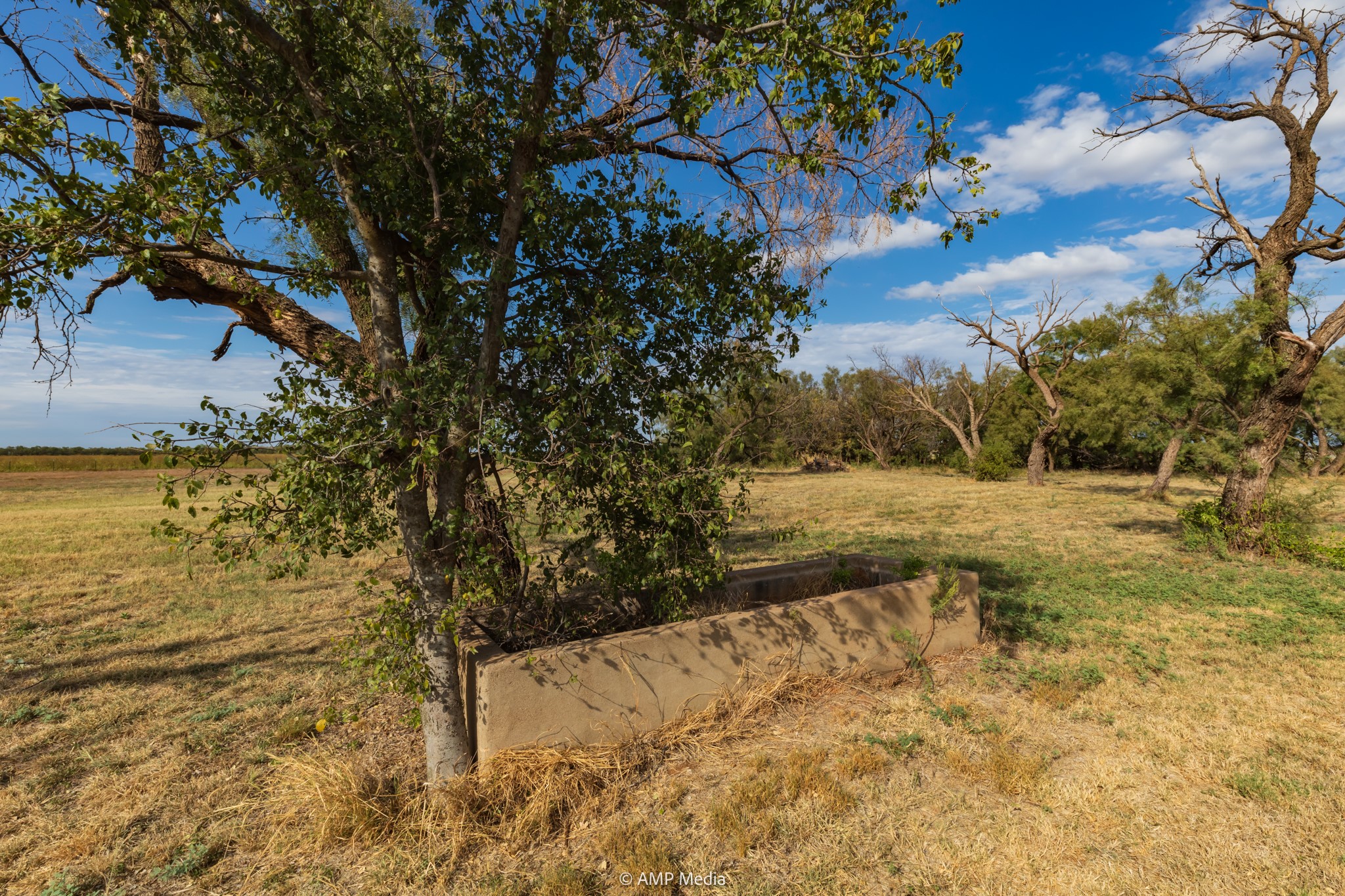 15157 County Road 453 Merkel TX 79536