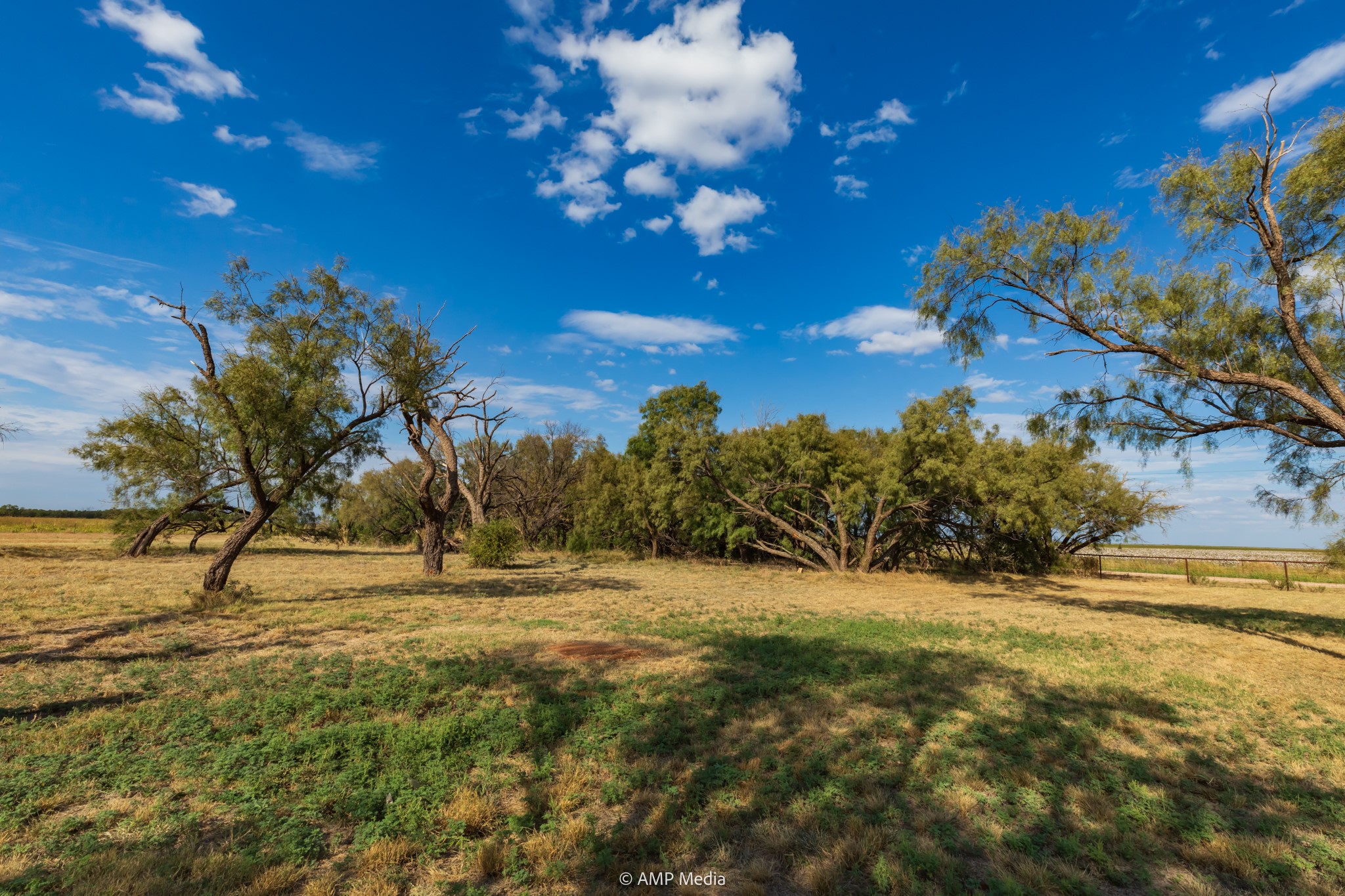 15157 County Road 453 Merkel TX 79536