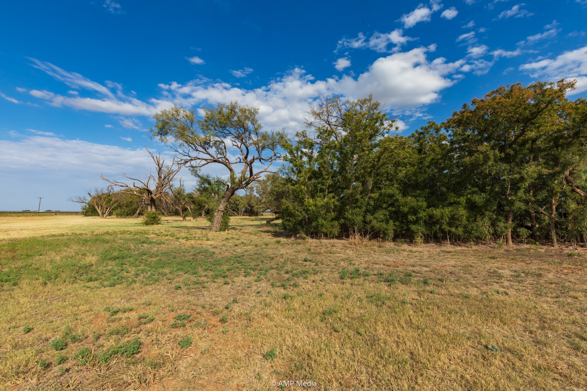 15157 County Road 453 Merkel TX 79536