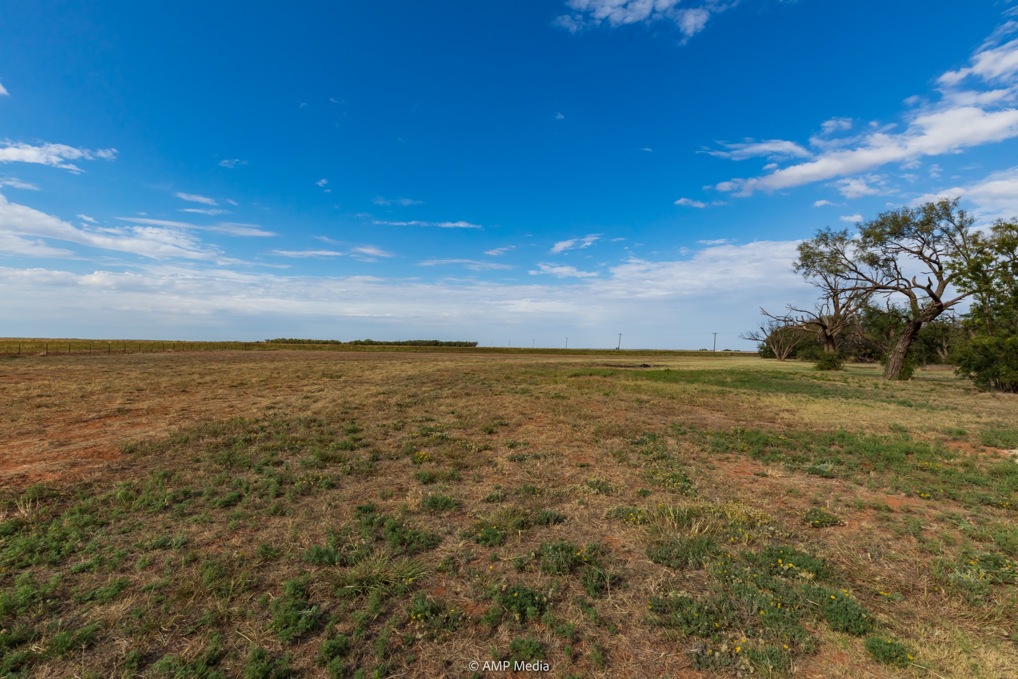 15157 County Road 453 Merkel TX 79536
