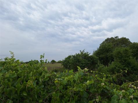 2839 Fm 45 Richland Springs TX 76871