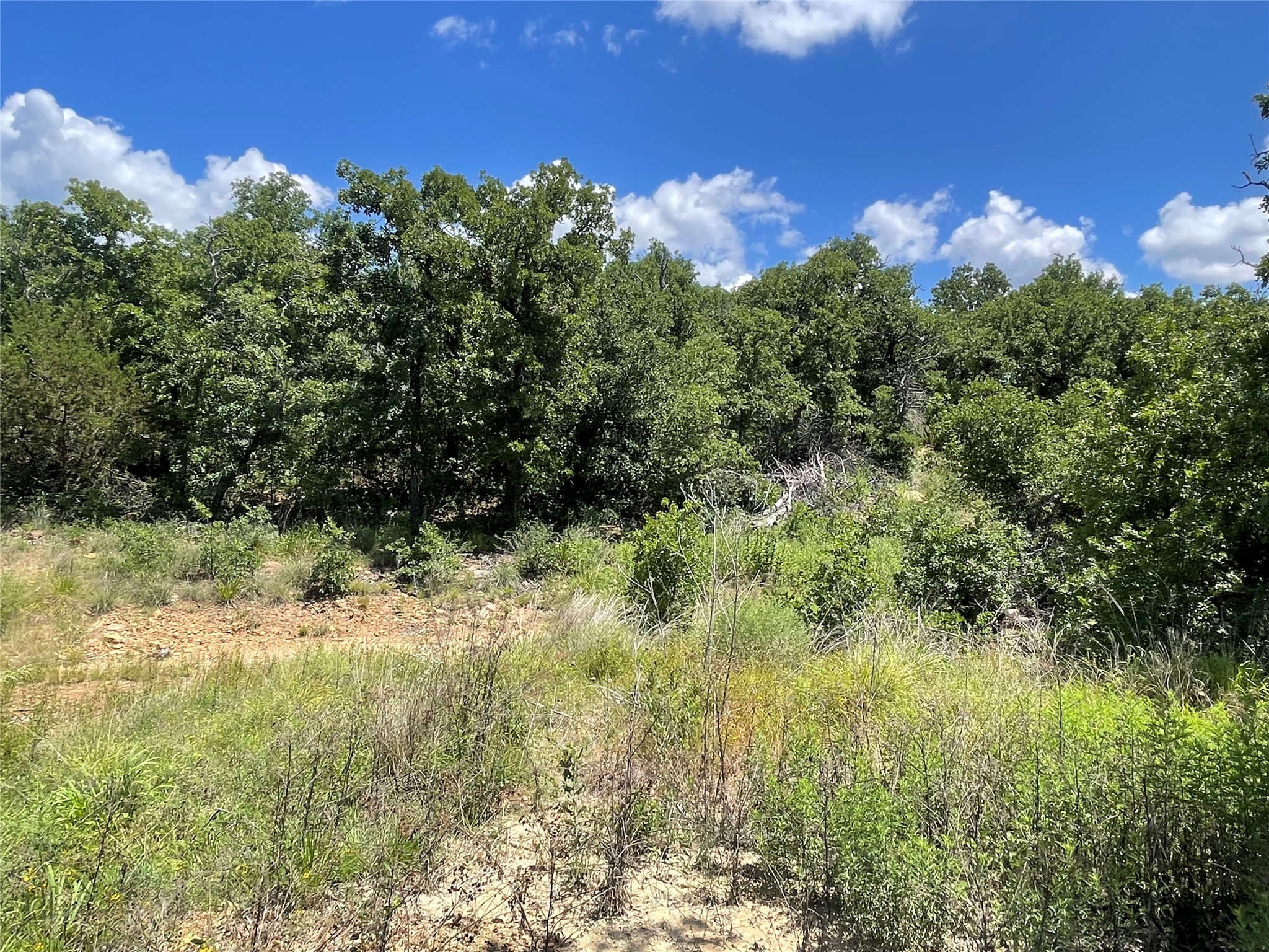 000 Lower Tonk Valley Road Graham TX 76450