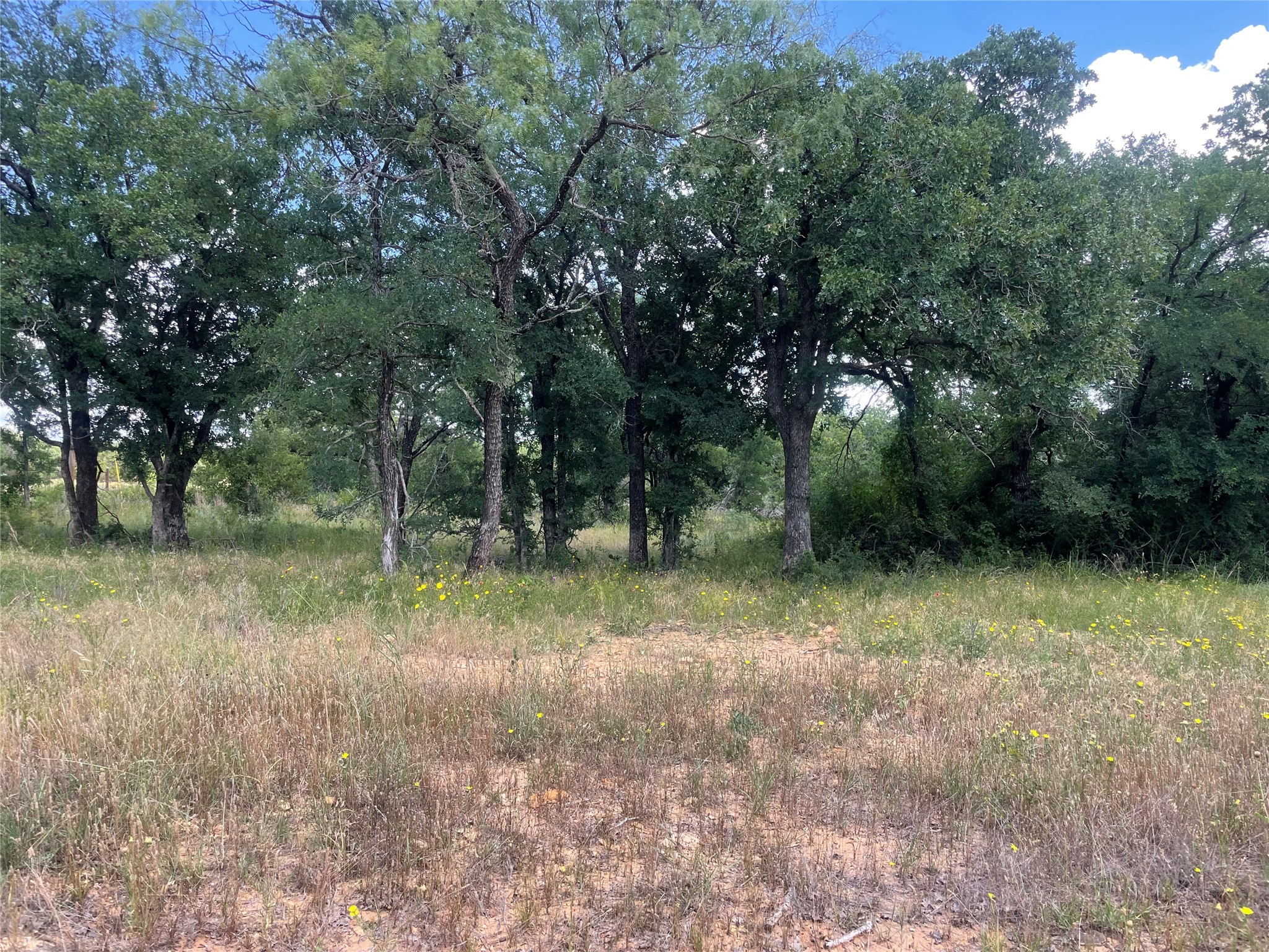 000 Lower Tonk Valley Road Graham TX 76450