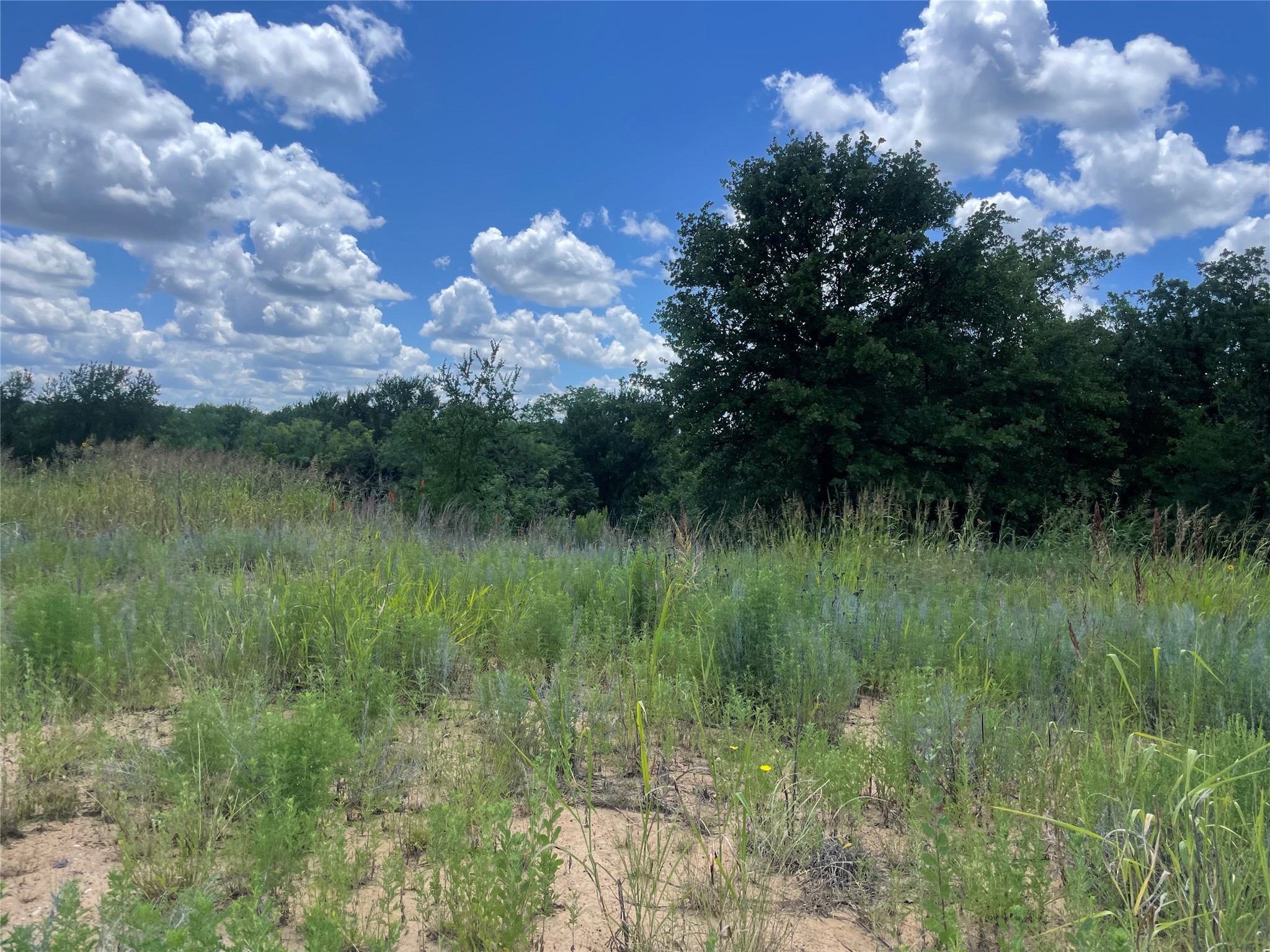 000 Lower Tonk Valley Road Graham TX 76450