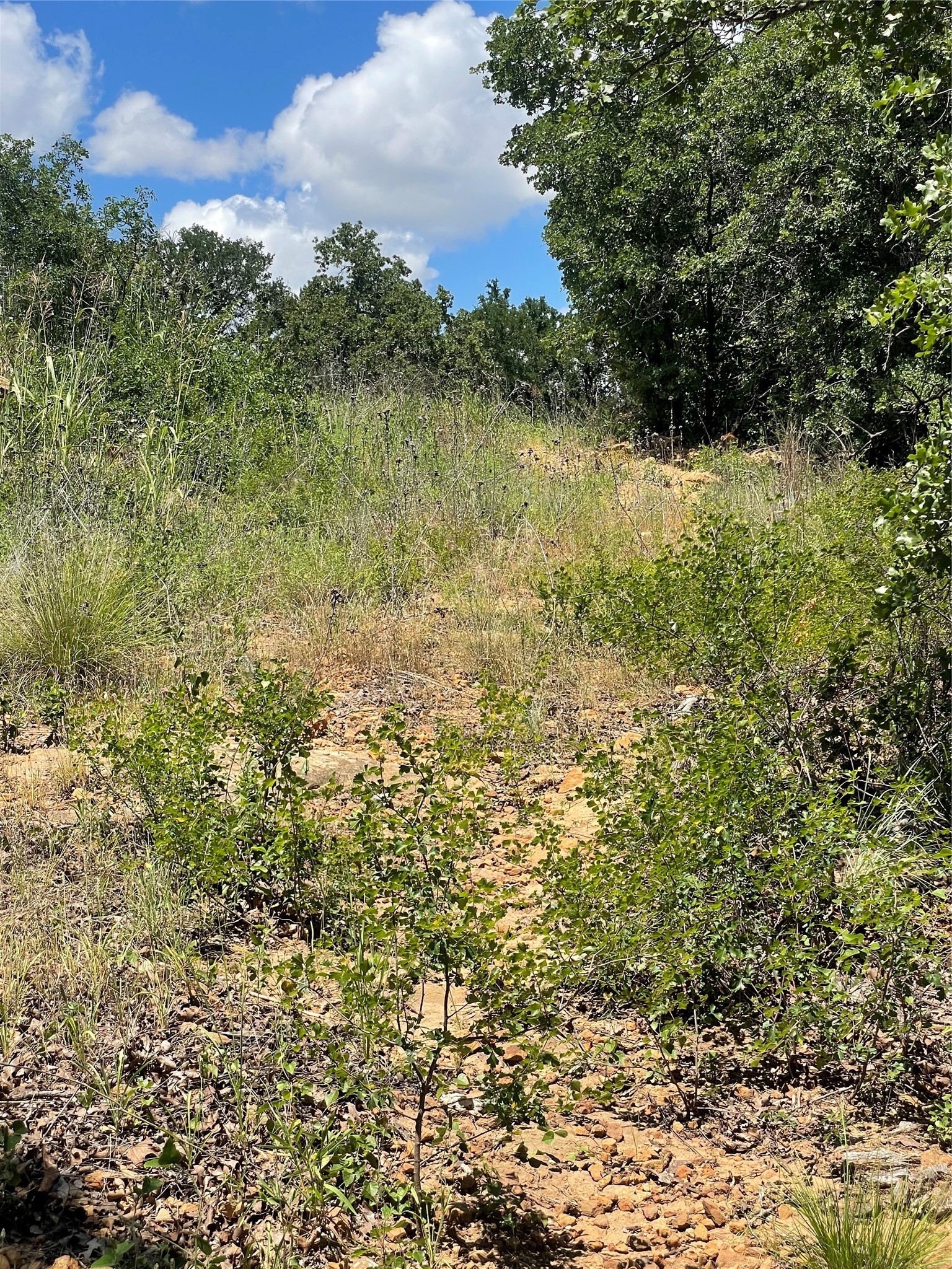 000 Lower Tonk Valley Road Graham TX 76450