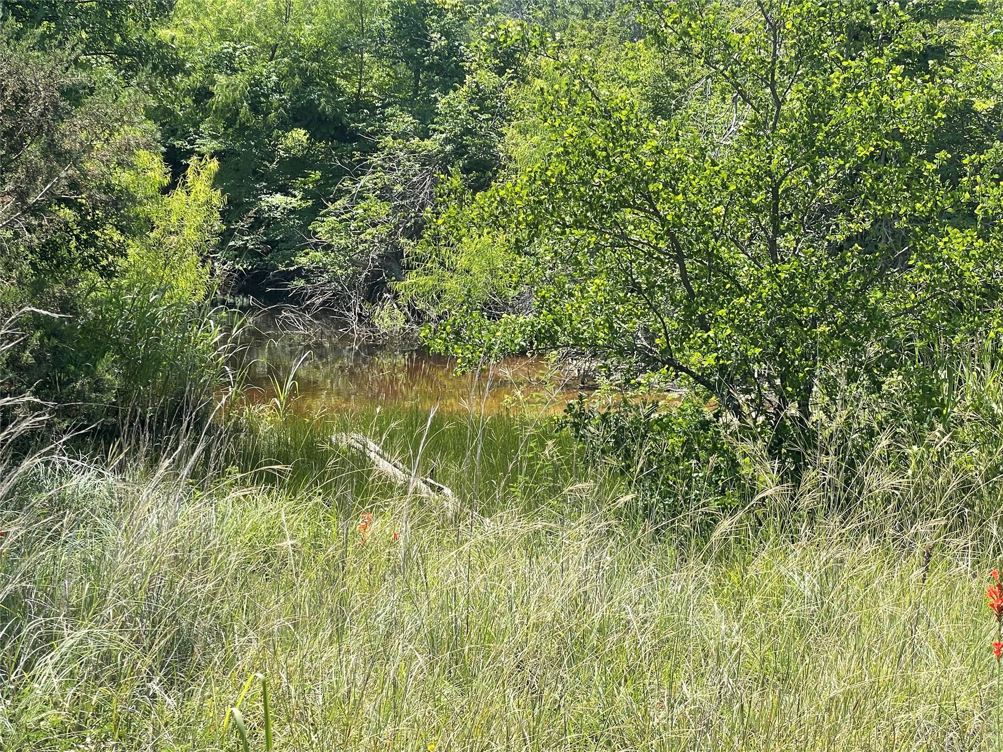 000 Lower Tonk Valley Road Graham TX 76450