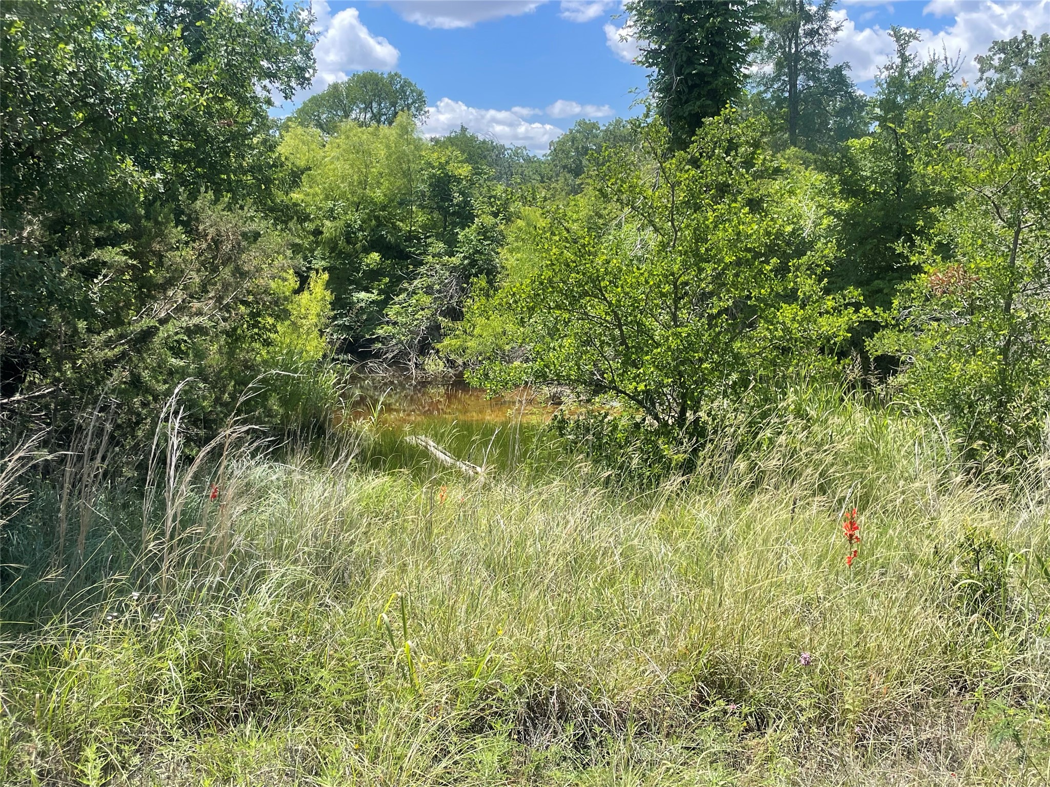 000 Lower Tonk Valley Road Graham TX 76450