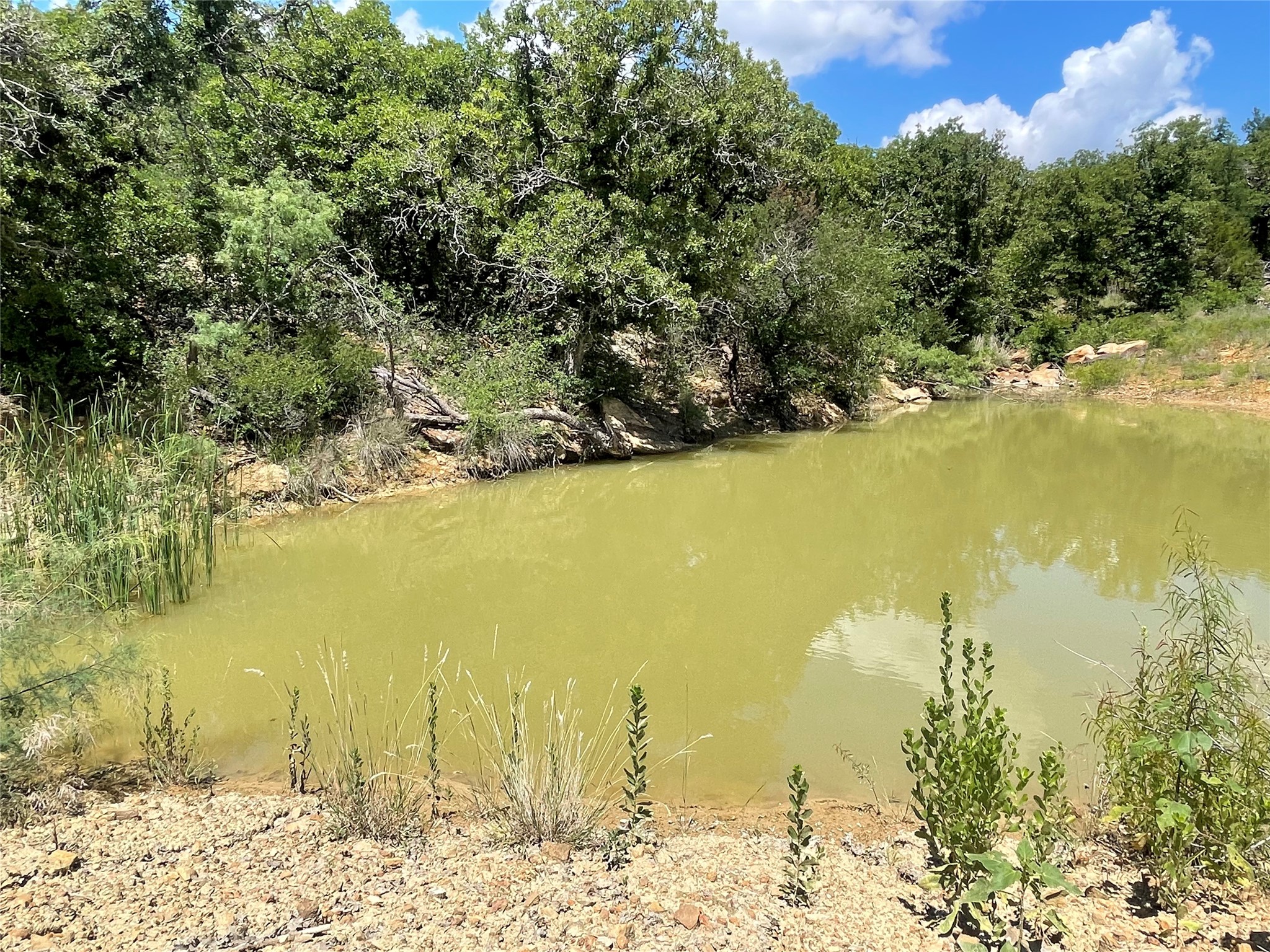 000 Lower Tonk Valley Road Graham TX 76450