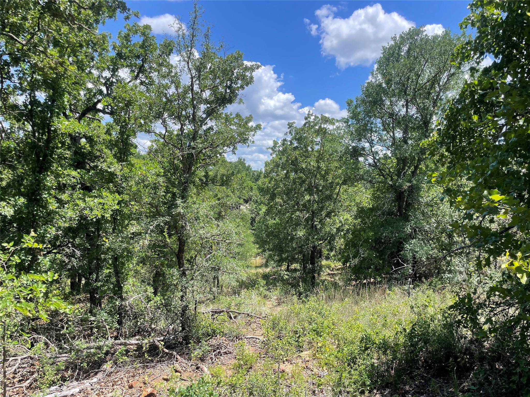 000 Lower Tonk Valley Road Graham TX 76450