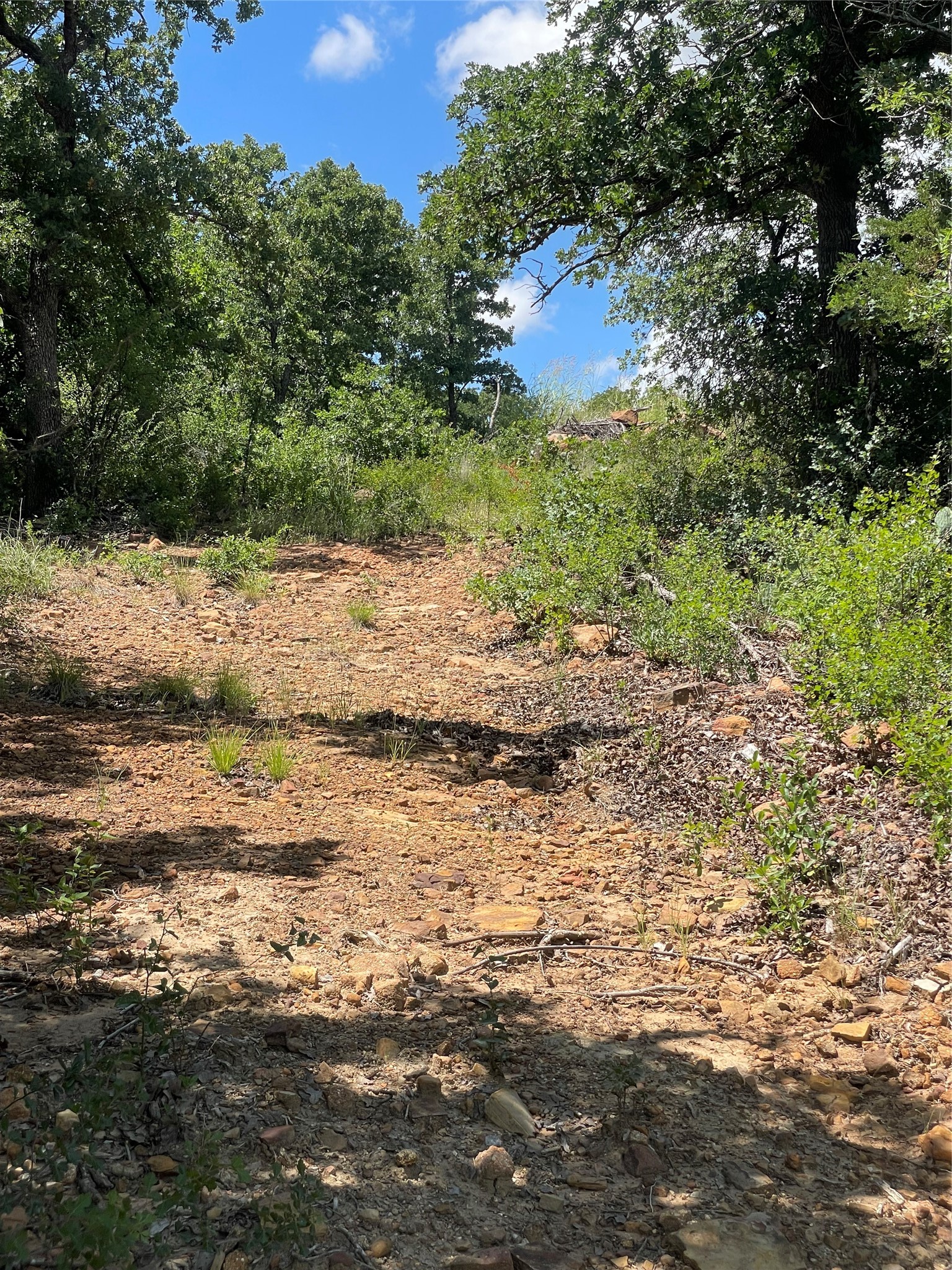 000 Lower Tonk Valley Road Graham TX 76450