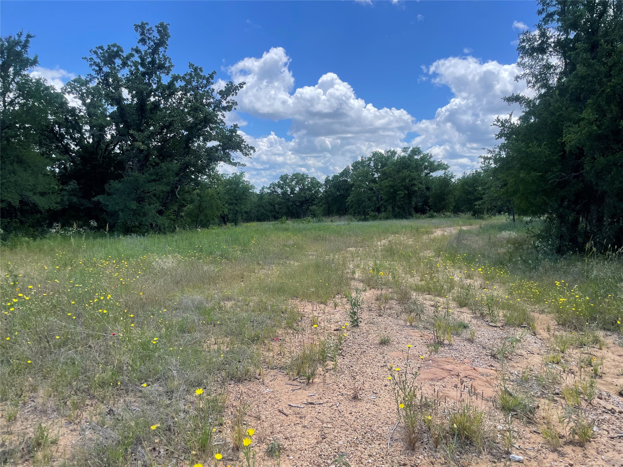 000 Lower Tonk Valley Road Graham TX 76450