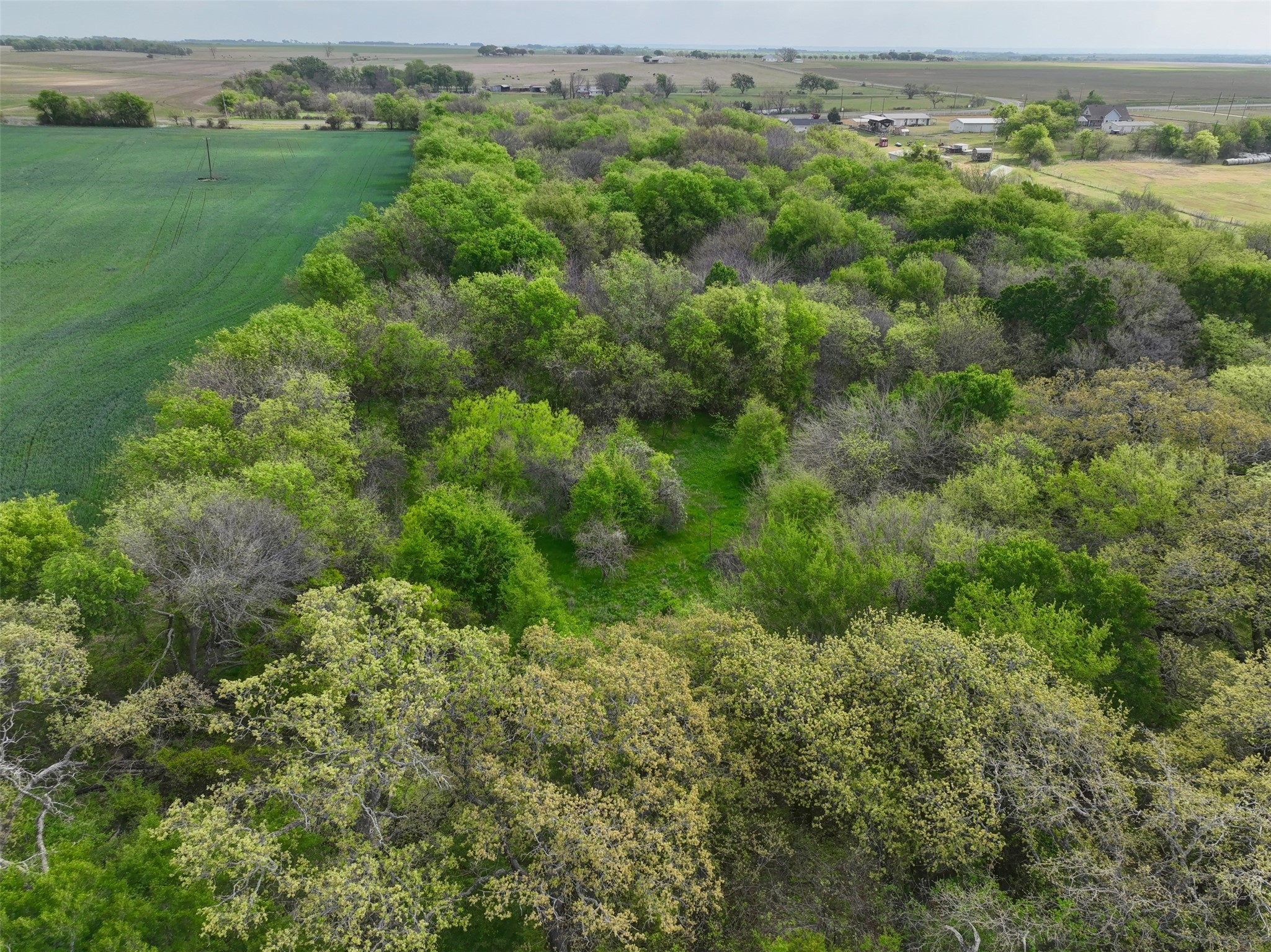 171 Hcr 1450 N Covington TX 76636