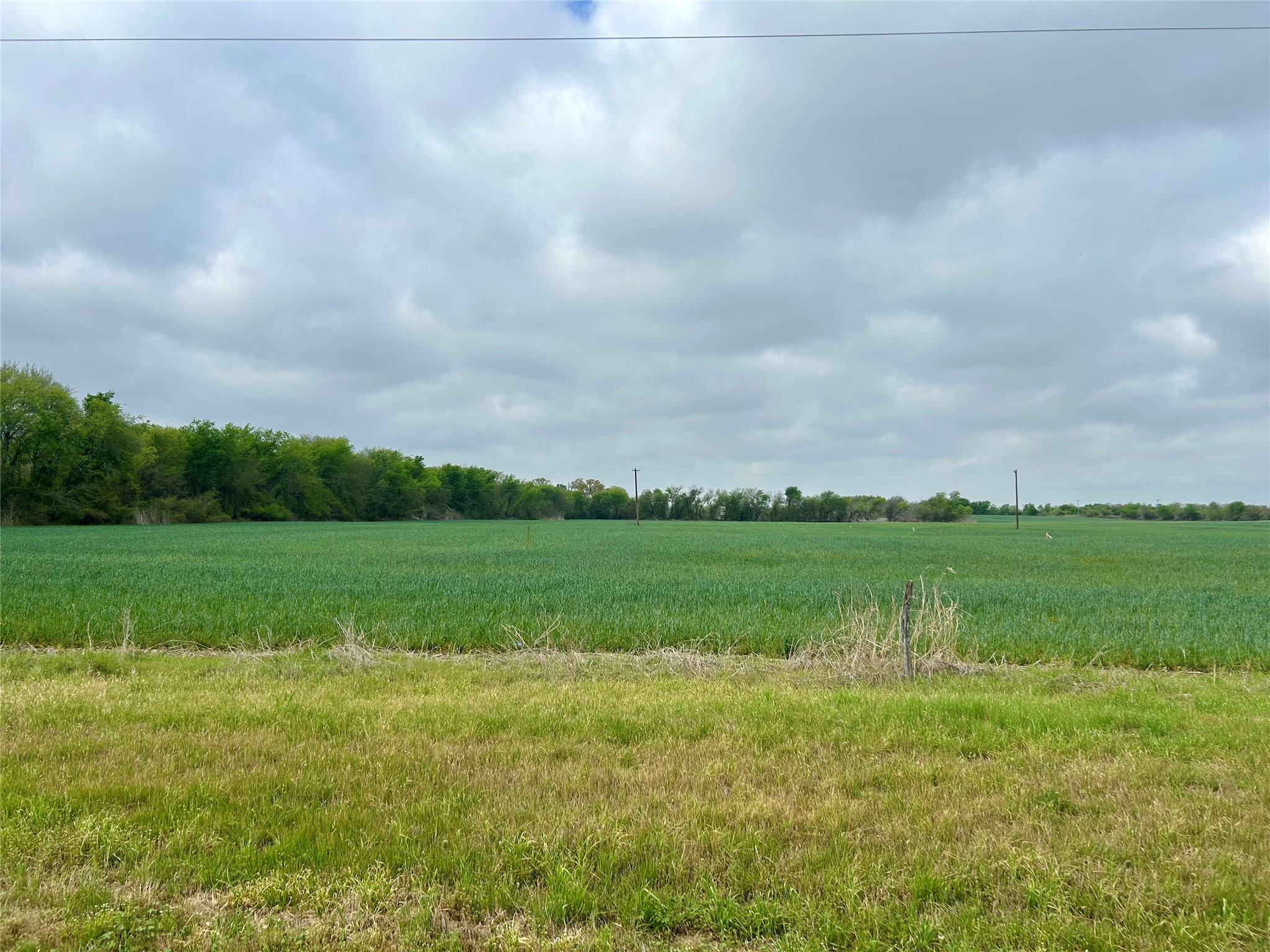171 Hcr 1450 N Covington TX 76636