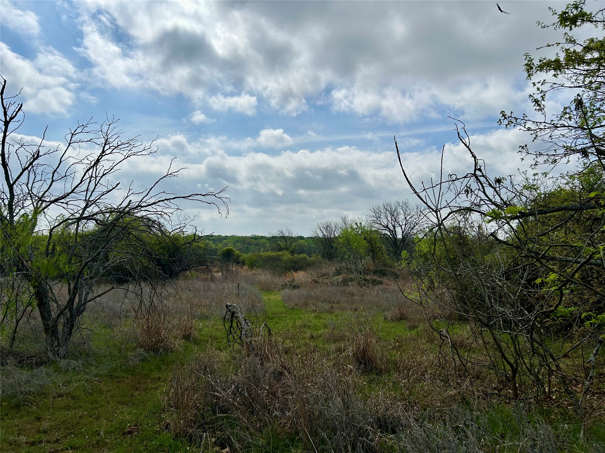 171 Hcr 1450 N Covington TX 76636