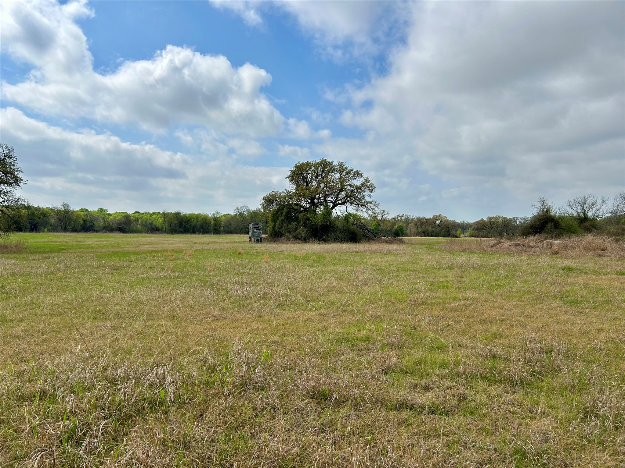 171 Hcr 1450 N Covington TX 76636