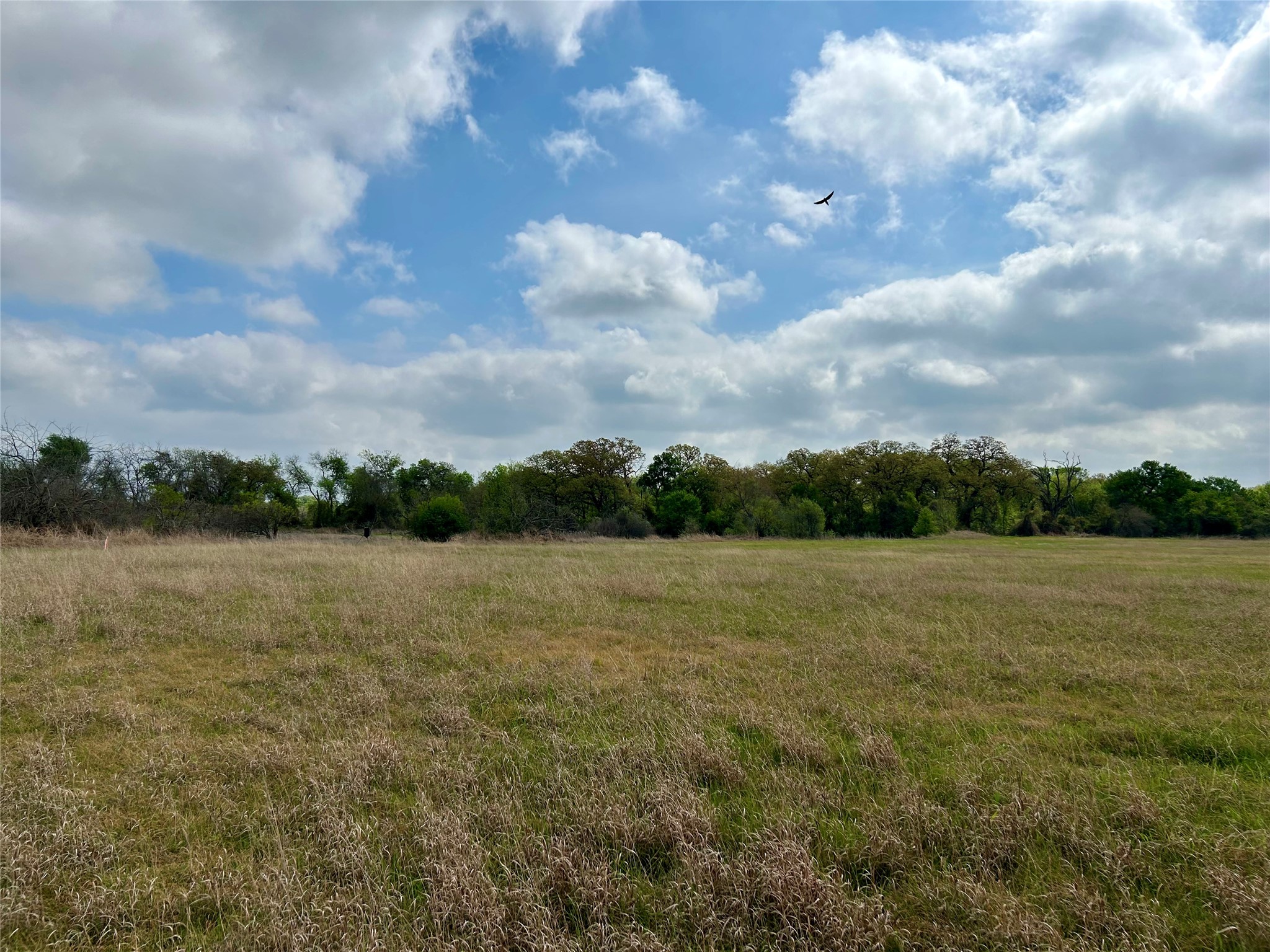 171 Hcr 1450 N Covington TX 76636