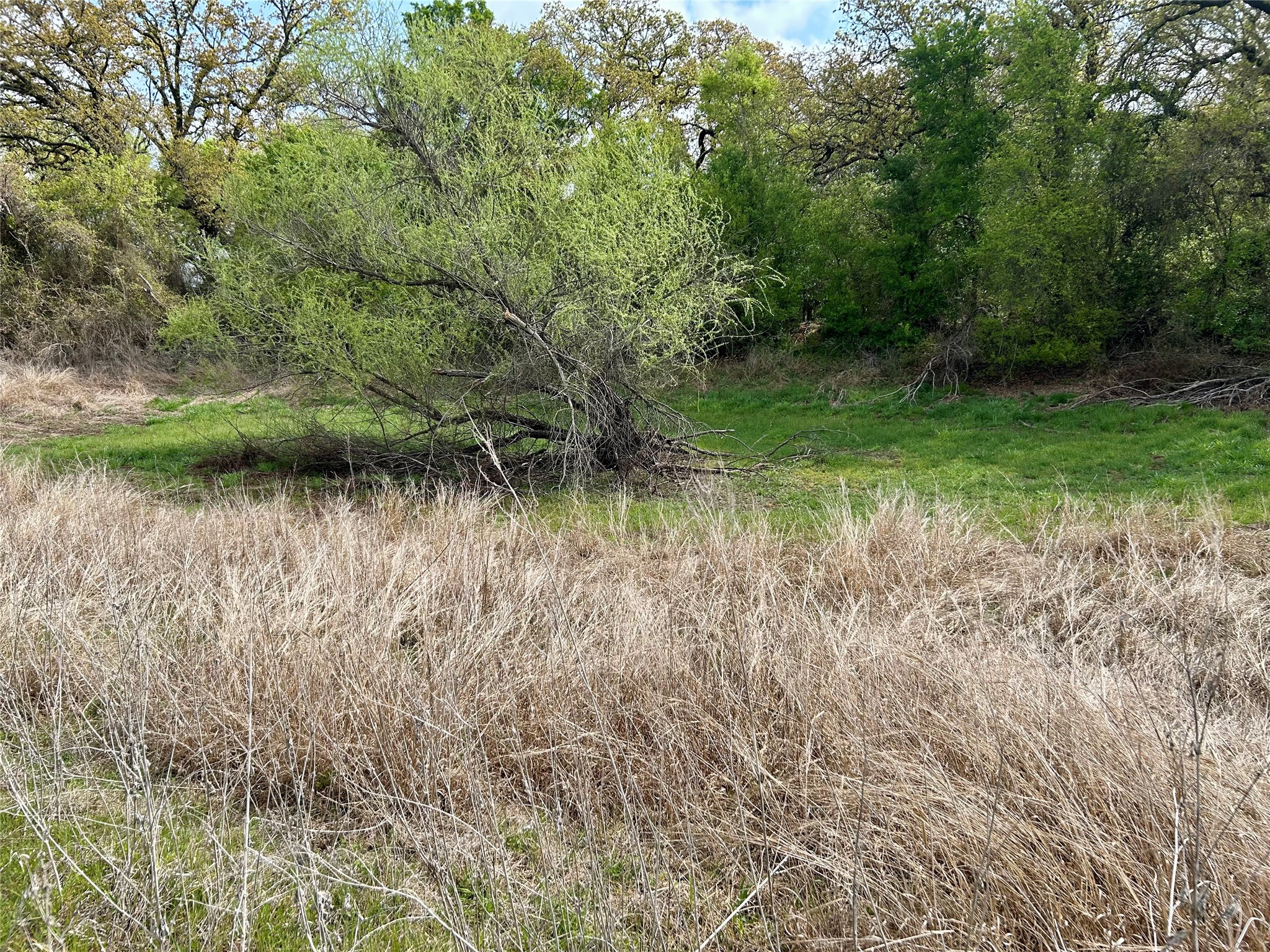 171 Hcr 1450 N Covington TX 76636