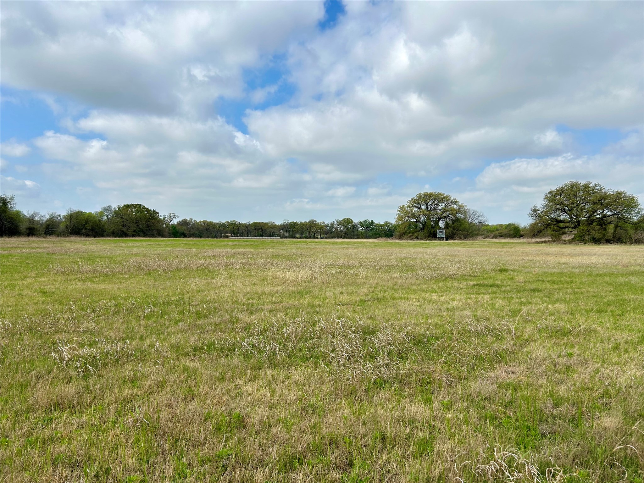 171 Hcr 1450 N Covington TX 76636