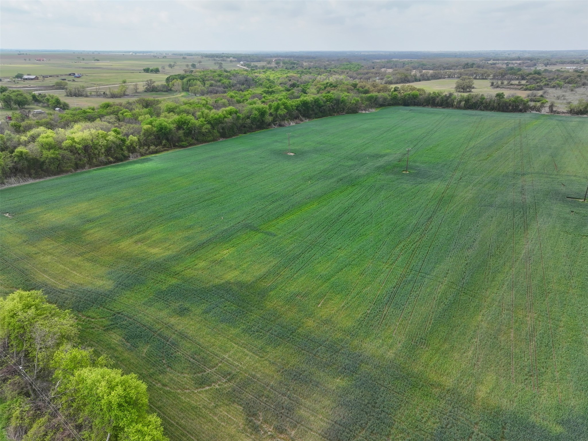171 Hcr 1450 N Covington TX 76636