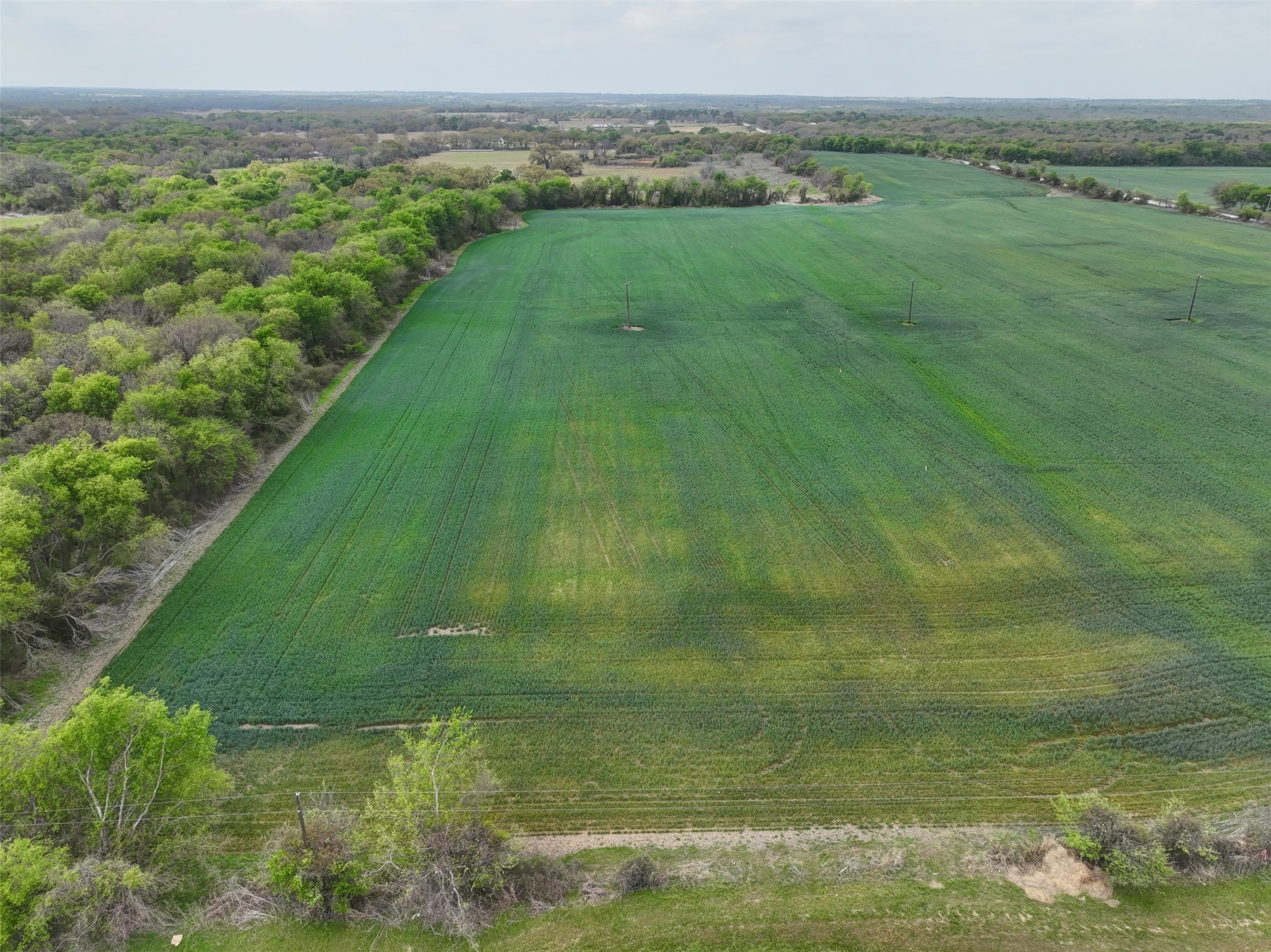 171 Hcr 1450 N Covington TX 76636