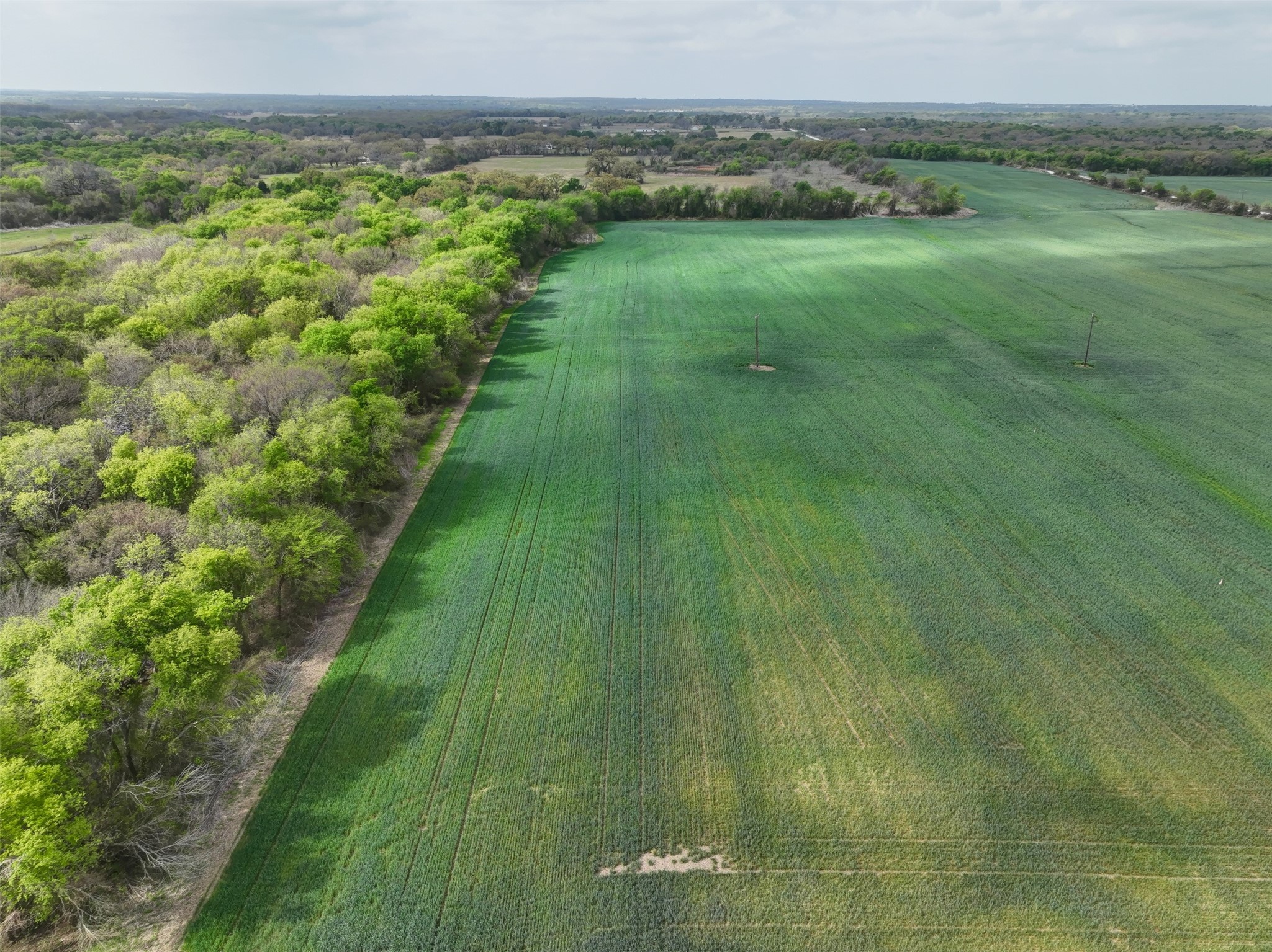 171 Hcr 1450 N Covington TX 76636