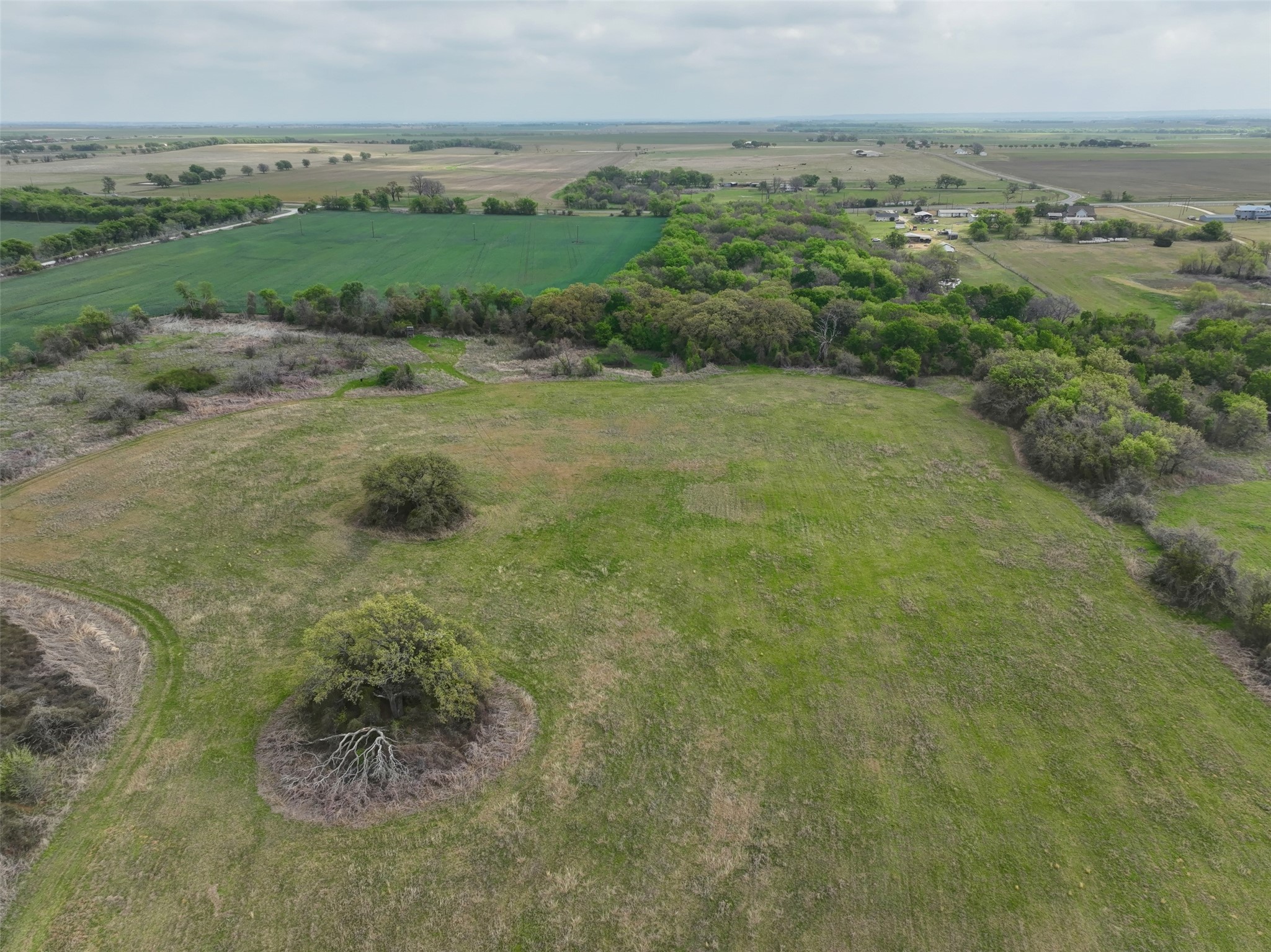 171 Hcr 1450 N Covington TX 76636