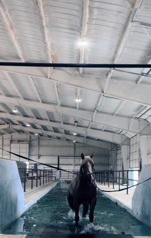 6670 A Fm 2303 Stephenville TX 76401