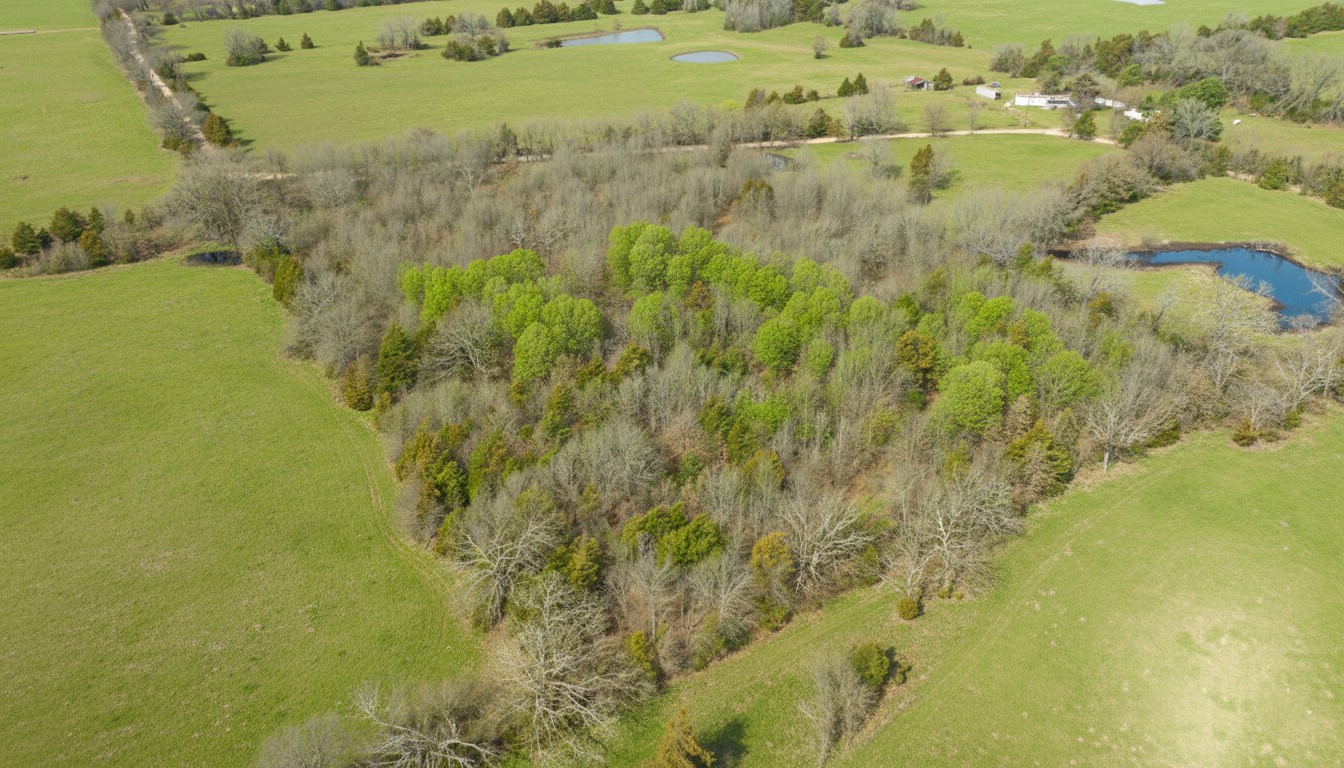 Tbd County Road 1420 Bogata TX 75417