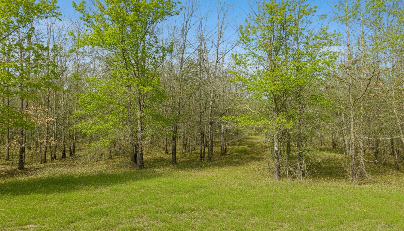 Tbd County Road 1420 Bogata TX 75417