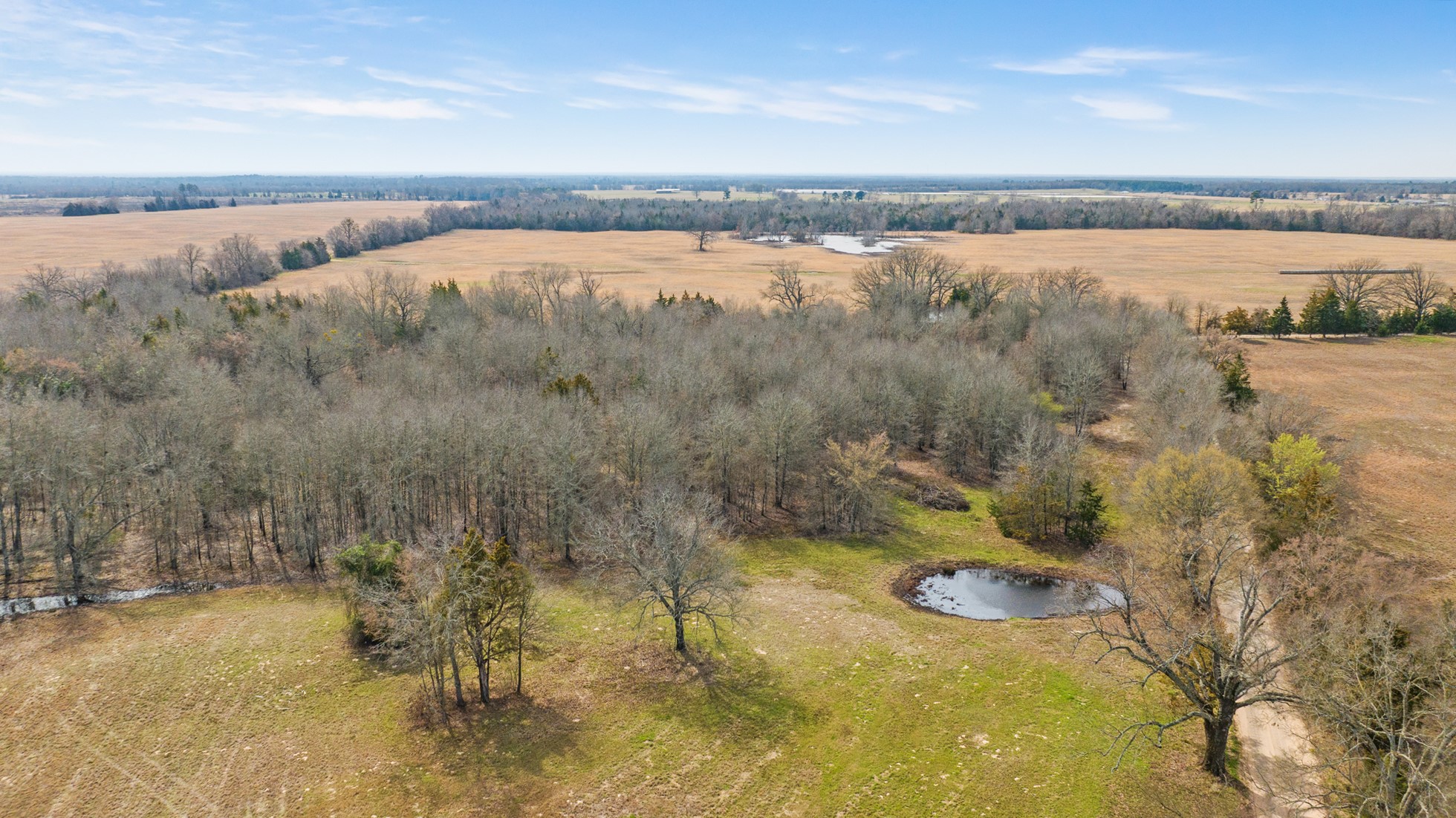Tbd County Road 1420 Bogata TX 75417