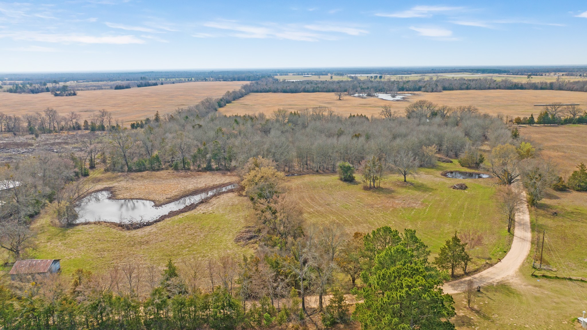 Tbd County Road 1420 Bogata TX 75417