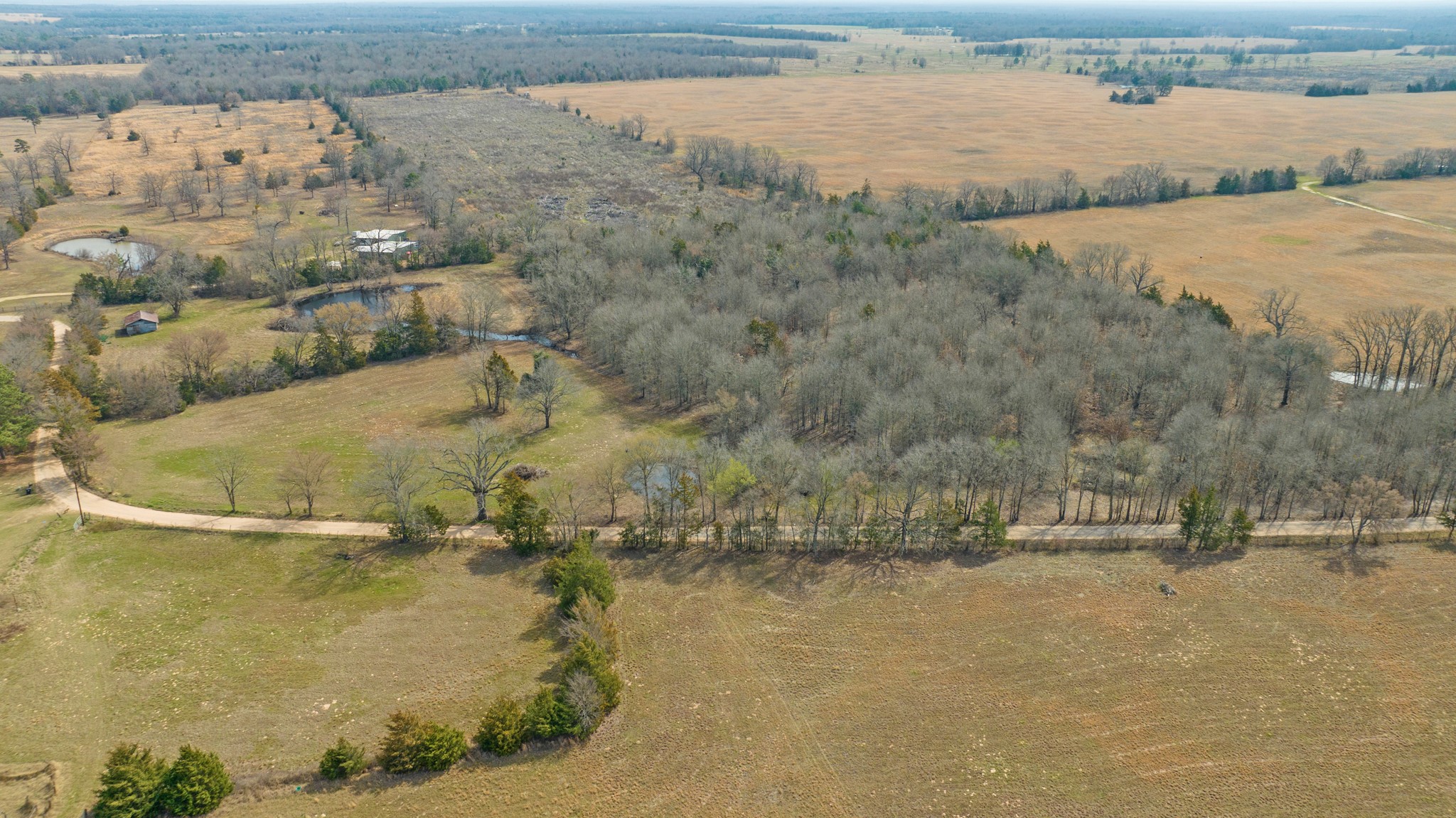 Tbd County Road 1420 Bogata TX 75417