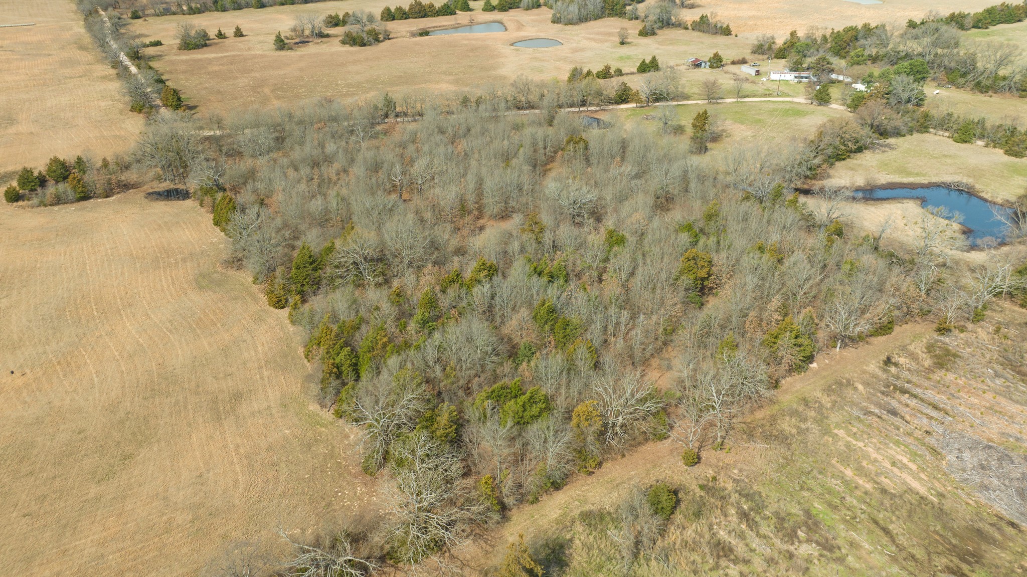 Tbd County Road 1420 Bogata TX 75417