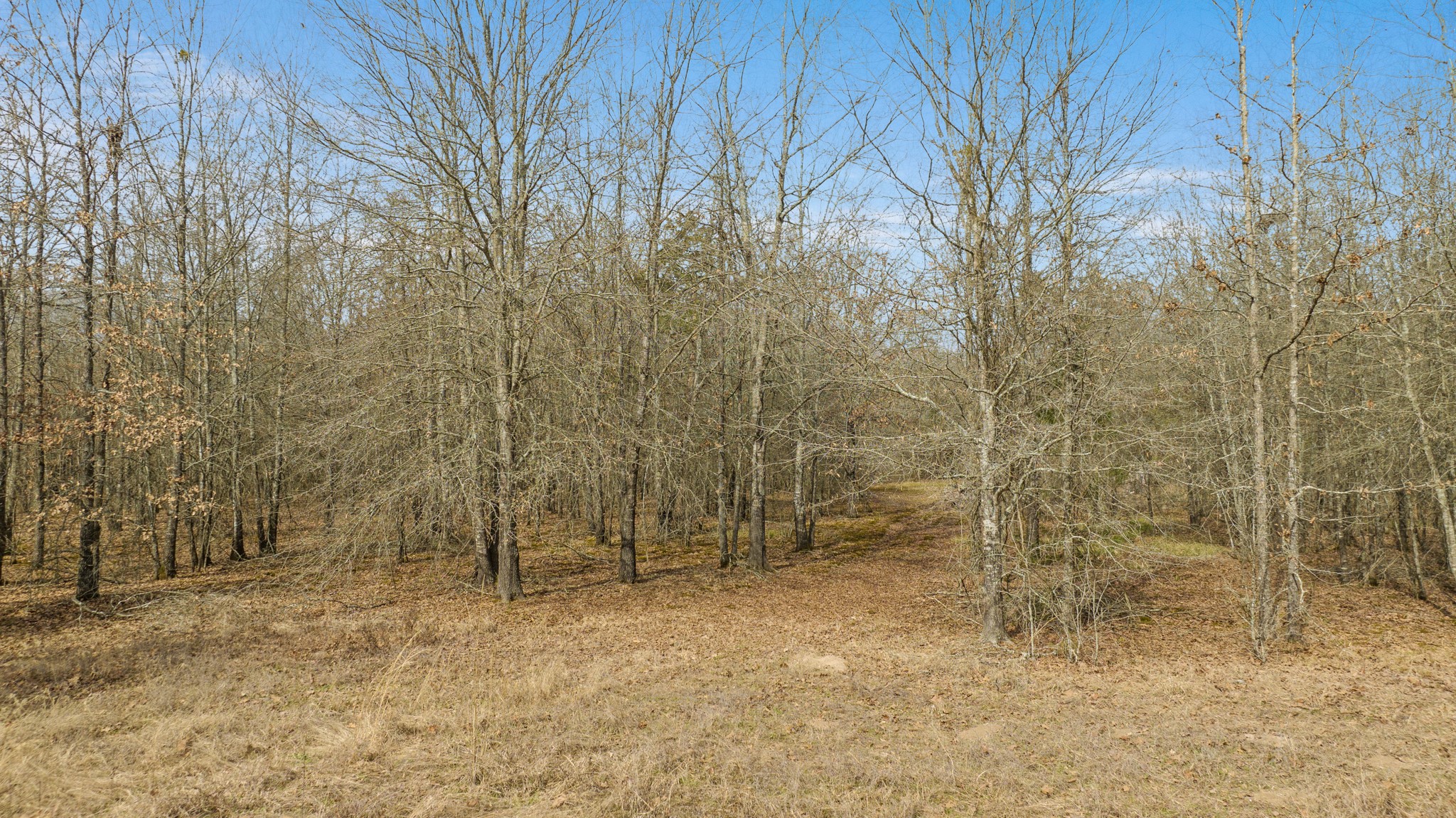 Tbd County Road 1420 Bogata TX 75417
