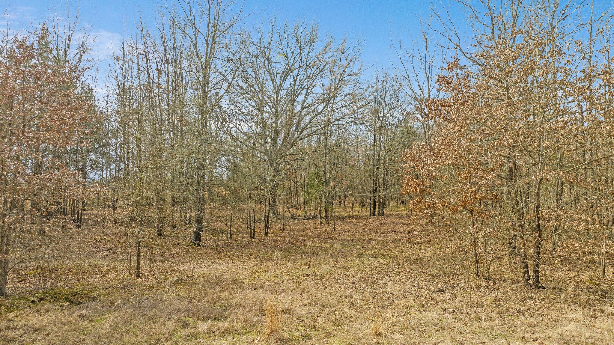 Tbd County Road 1420 Bogata TX 75417