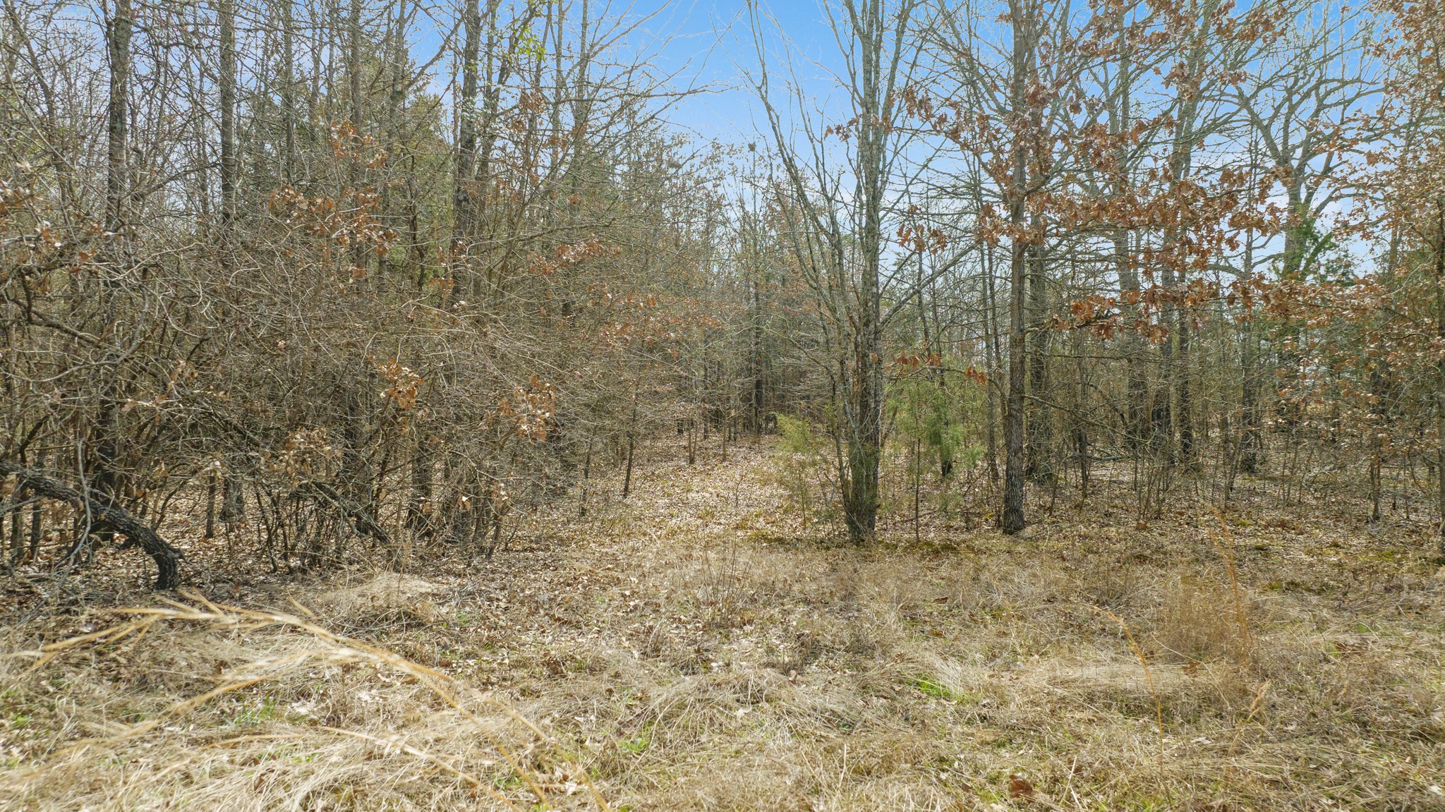 Tbd County Road 1420 Bogata TX 75417