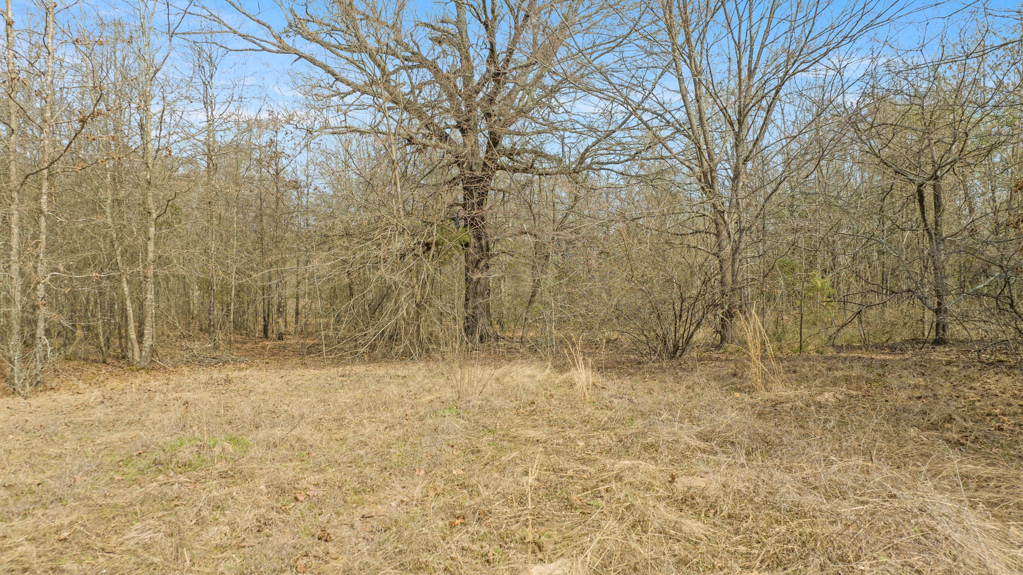 Tbd County Road 1420 Bogata TX 75417