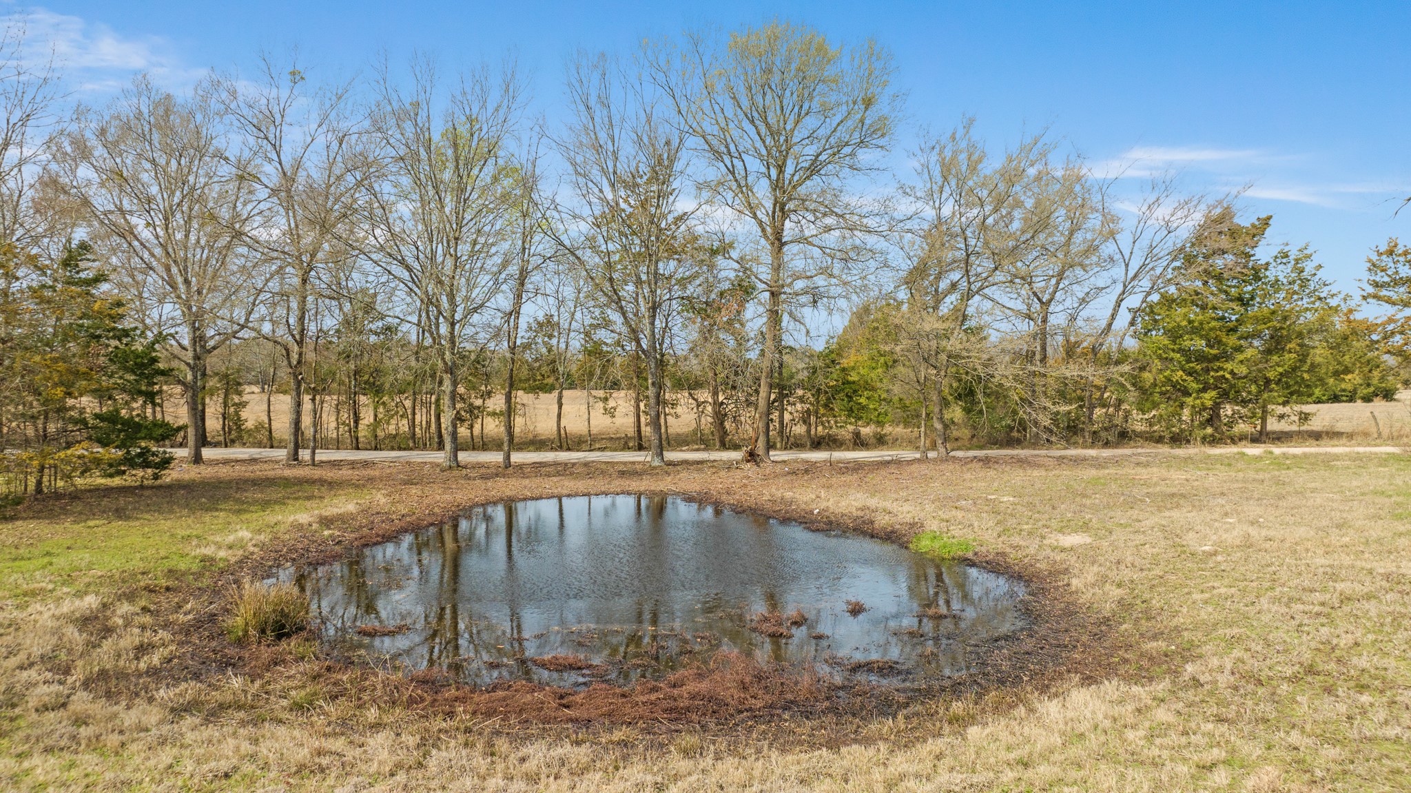 Tbd County Road 1420 Bogata TX 75417