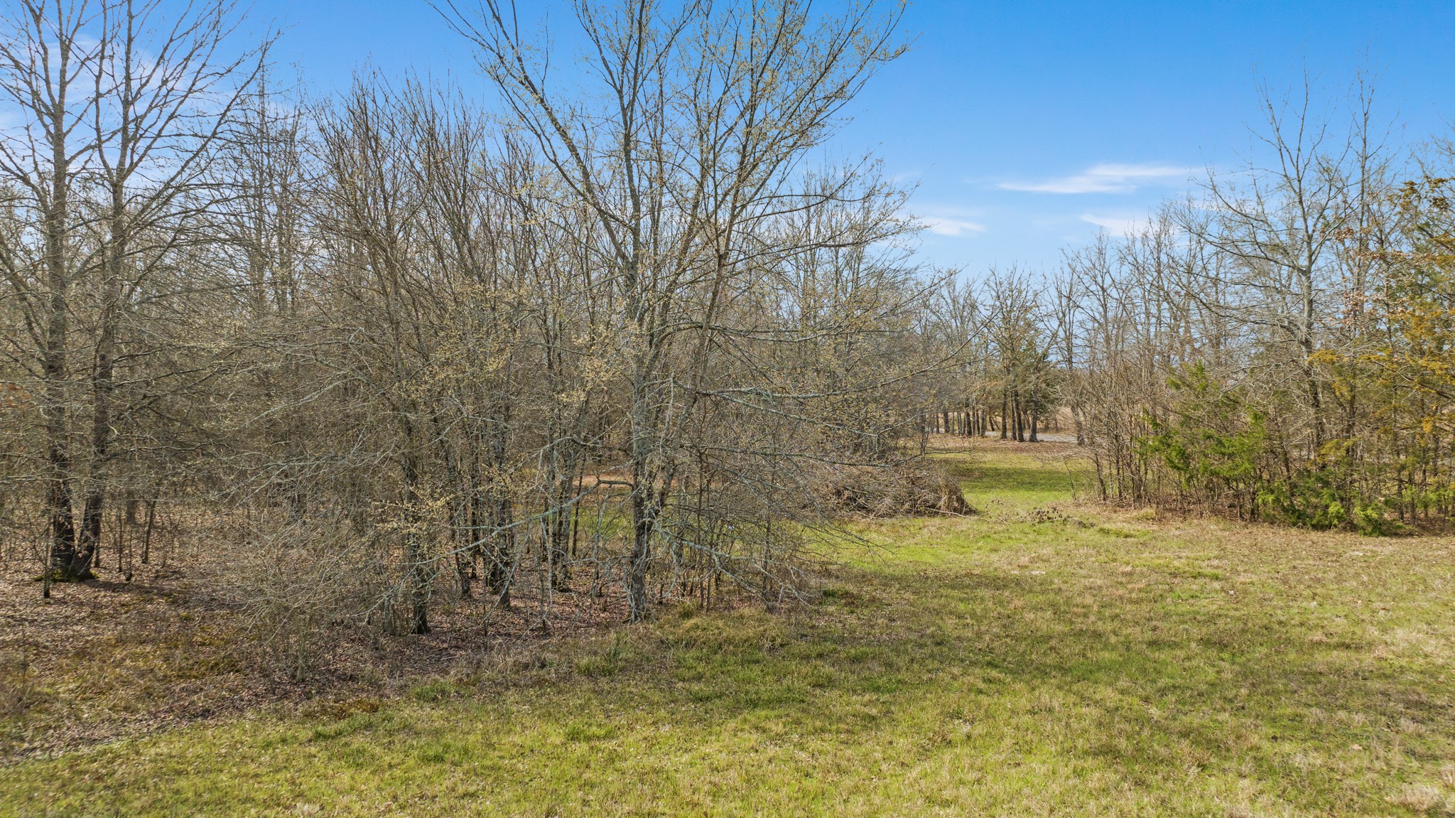 Tbd County Road 1420 Bogata TX 75417