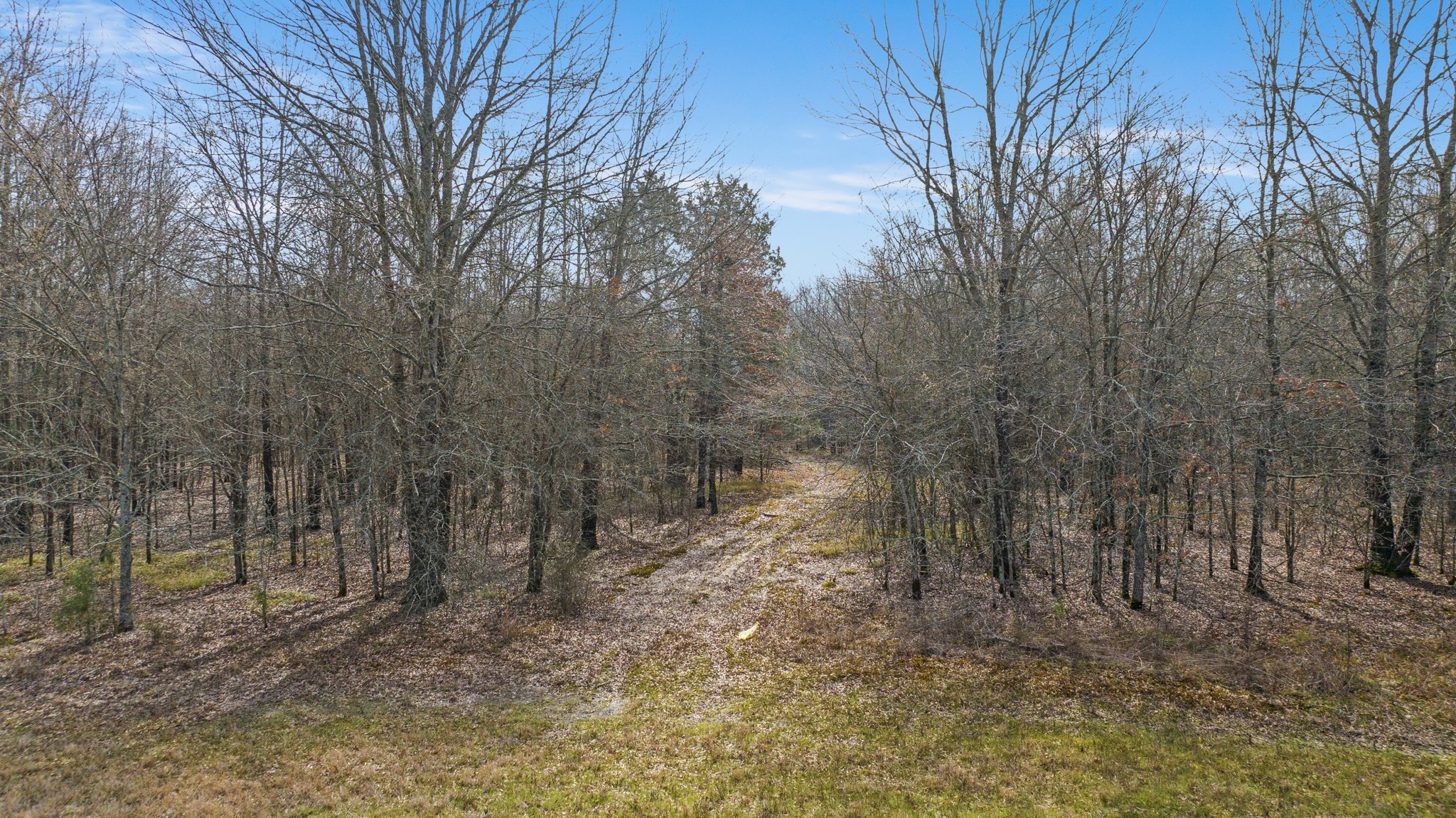 Tbd County Road 1420 Bogata TX 75417