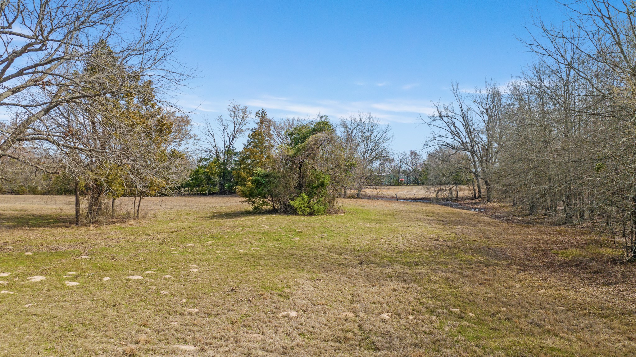 Tbd County Road 1420 Bogata TX 75417