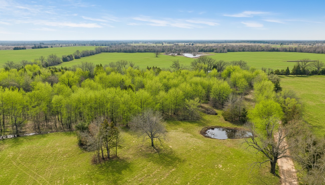 Tbd County Road 1420 Bogata TX 75417